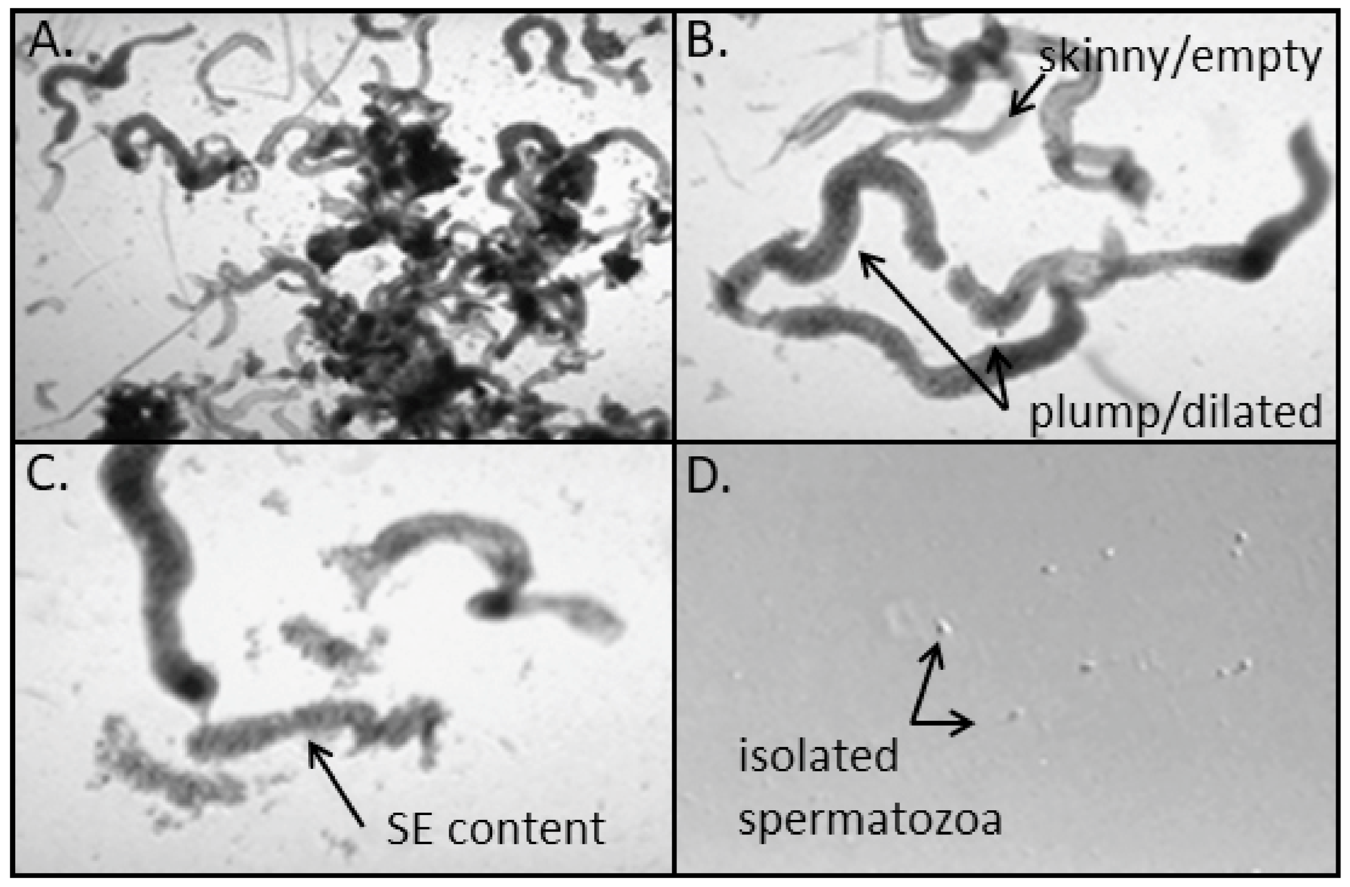 Jcm 10 03667 g001 Jcm 10 03667 g001