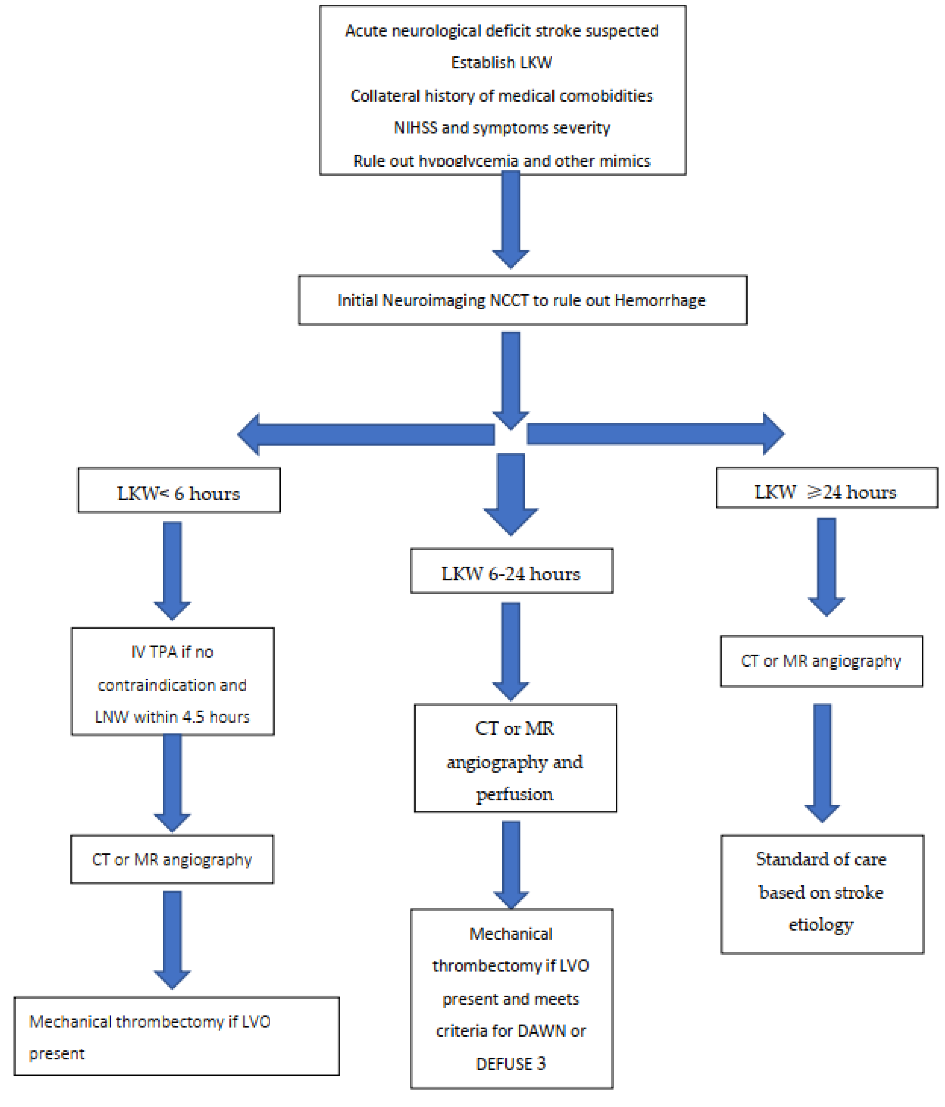 ischemic stroke pathophysiology