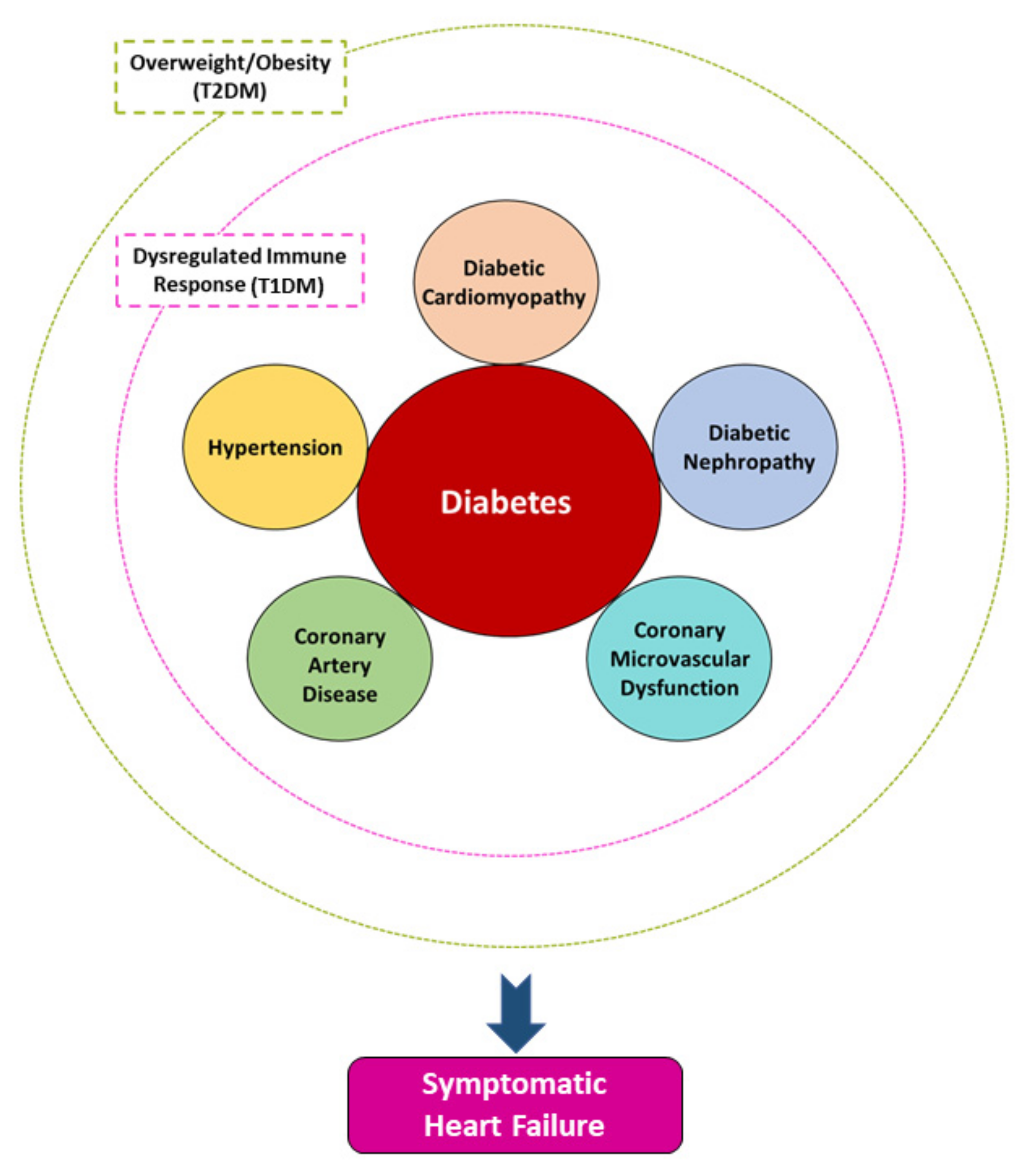 kezelése nephropathia diabetes mellitus mérykék vércukormérő használata