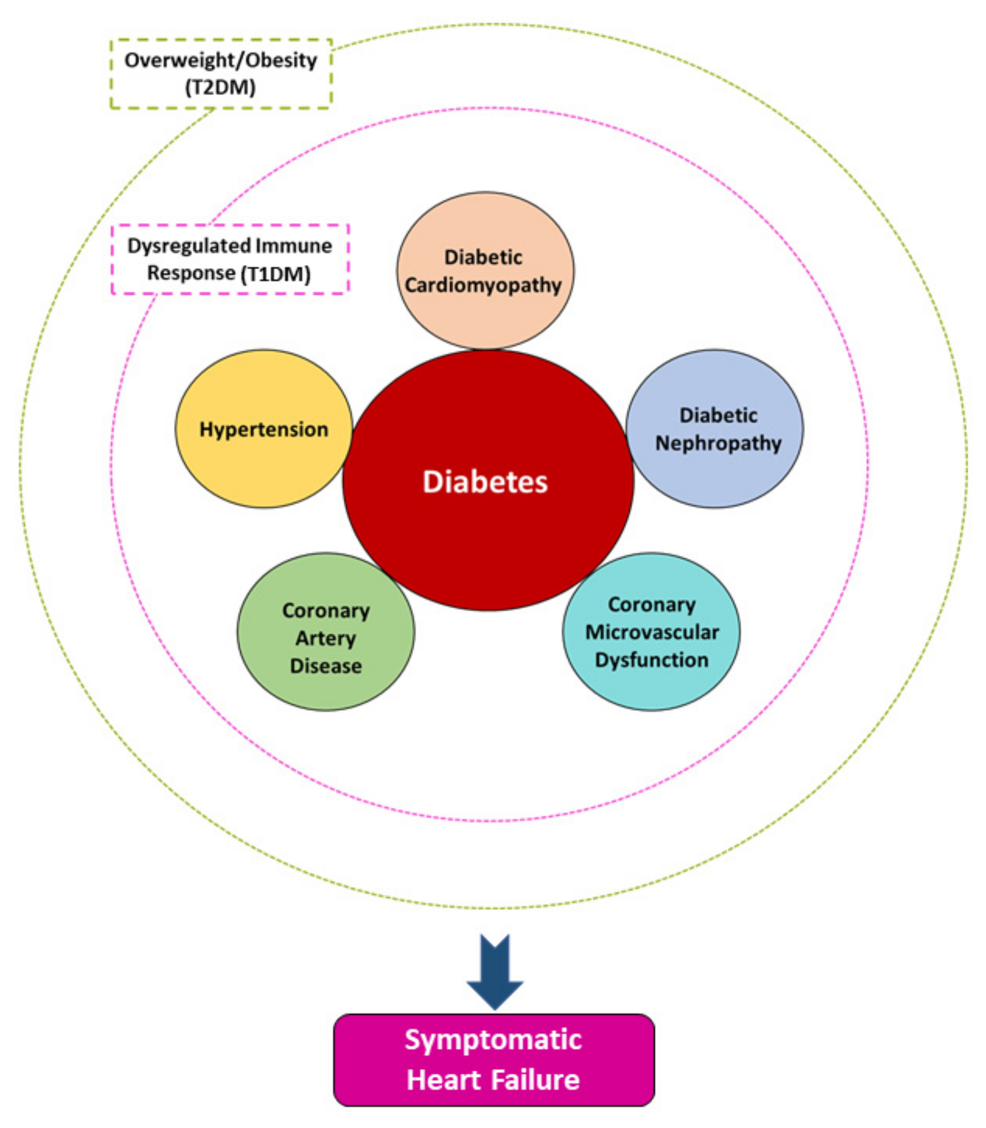 kezelése nephropathia diabetes mellitus