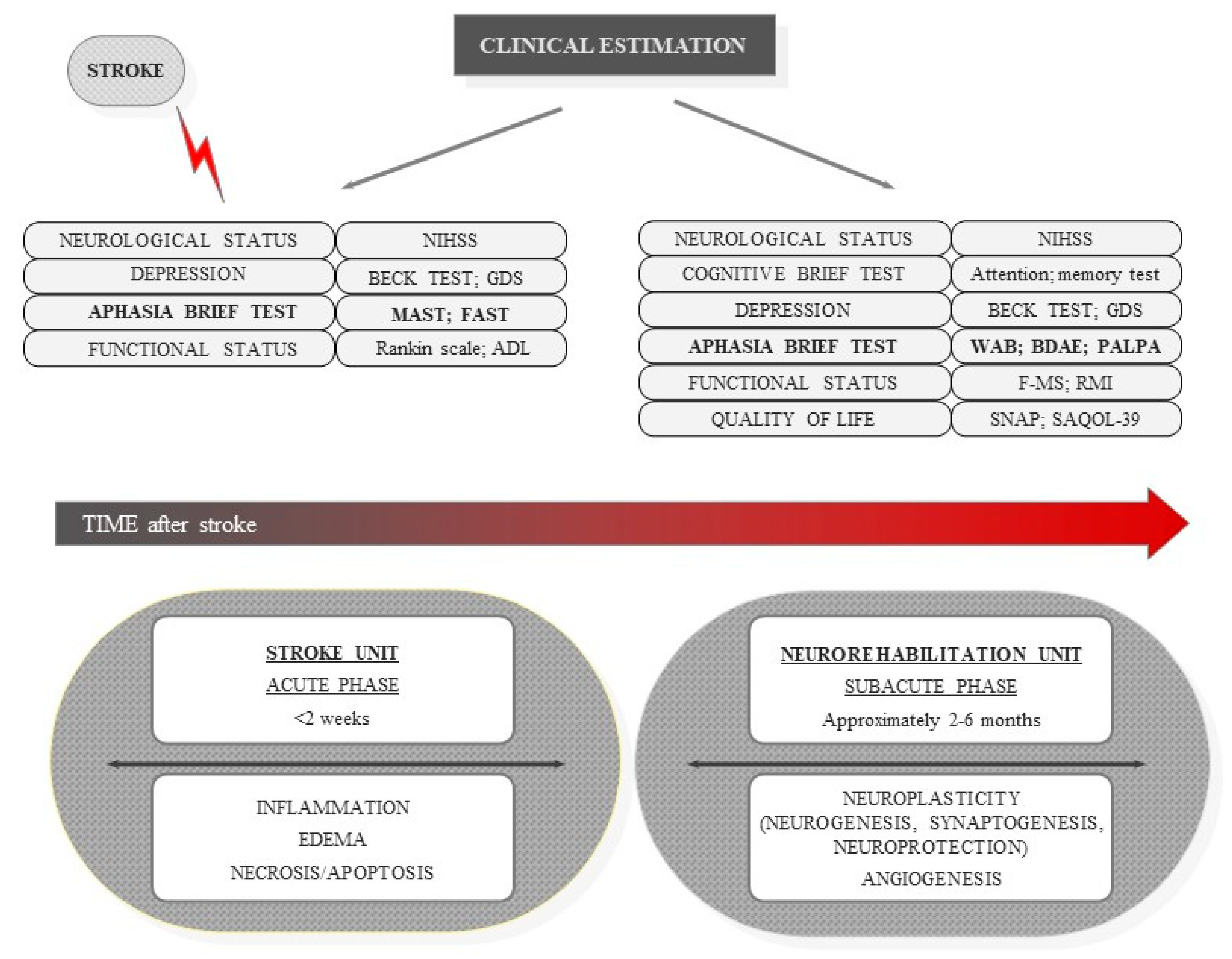 szuperoxid-diszmutáz anti aging