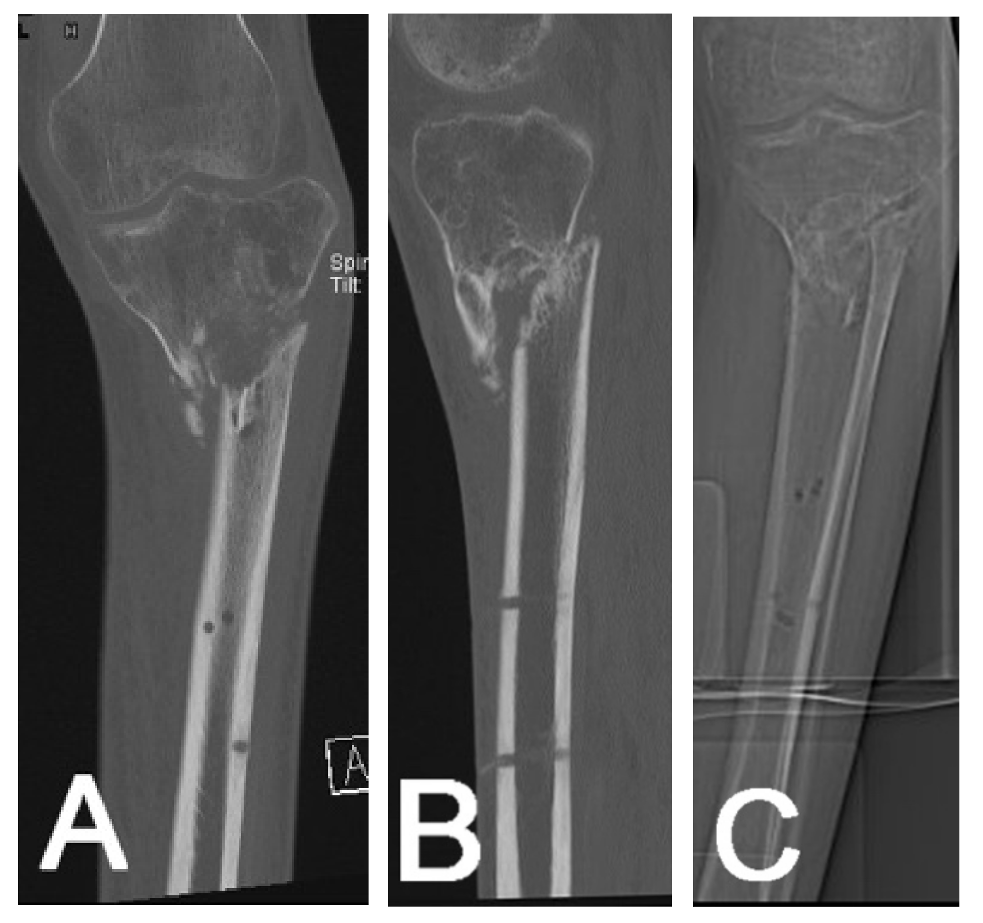 Jcm 10 03781 g003 Jcm 10 03781 g003