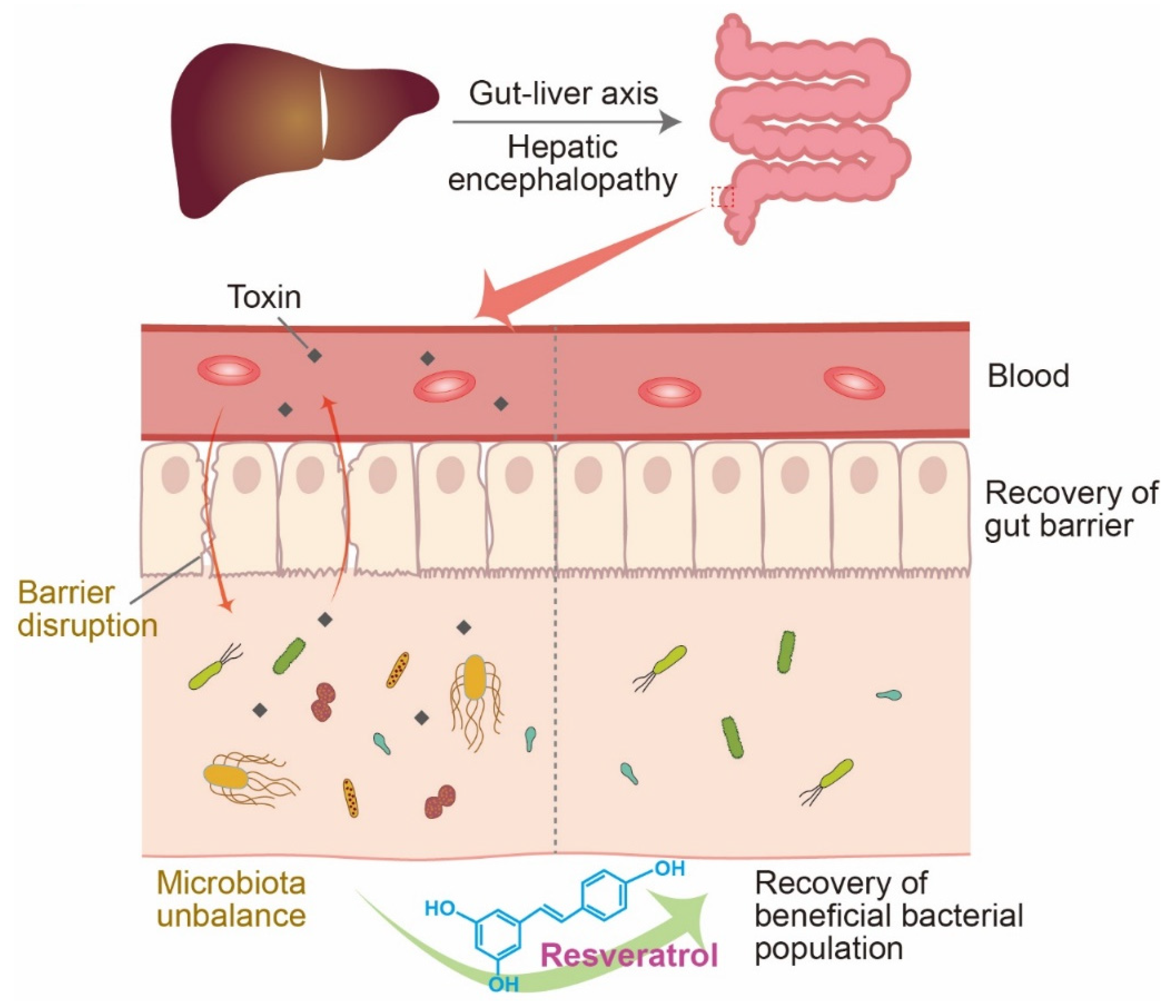 Jcm 10 03819 g002 Jcm 10 03819 g002