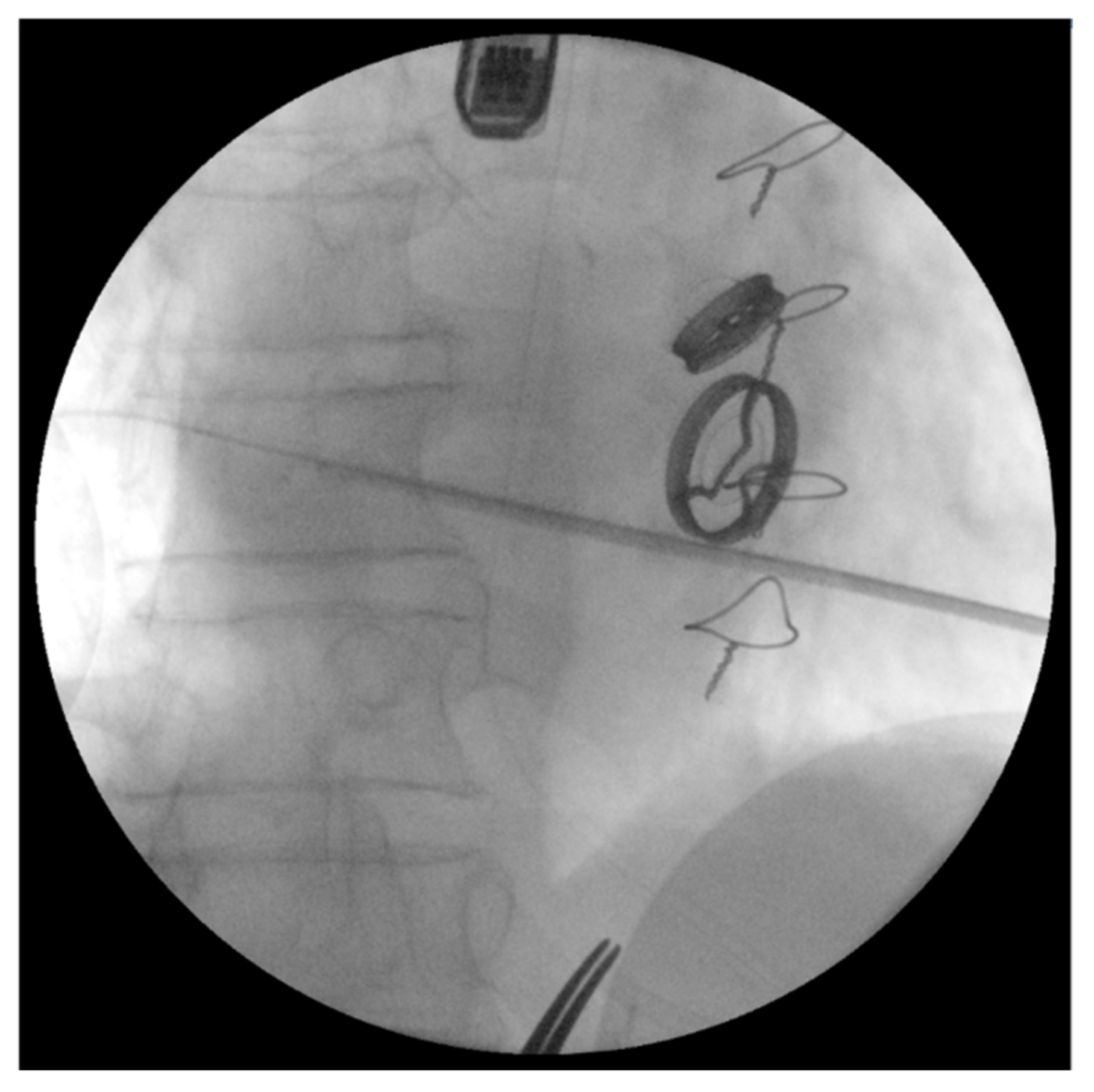 Jcm 10 03857 g002 Jcm 10 03857 g002