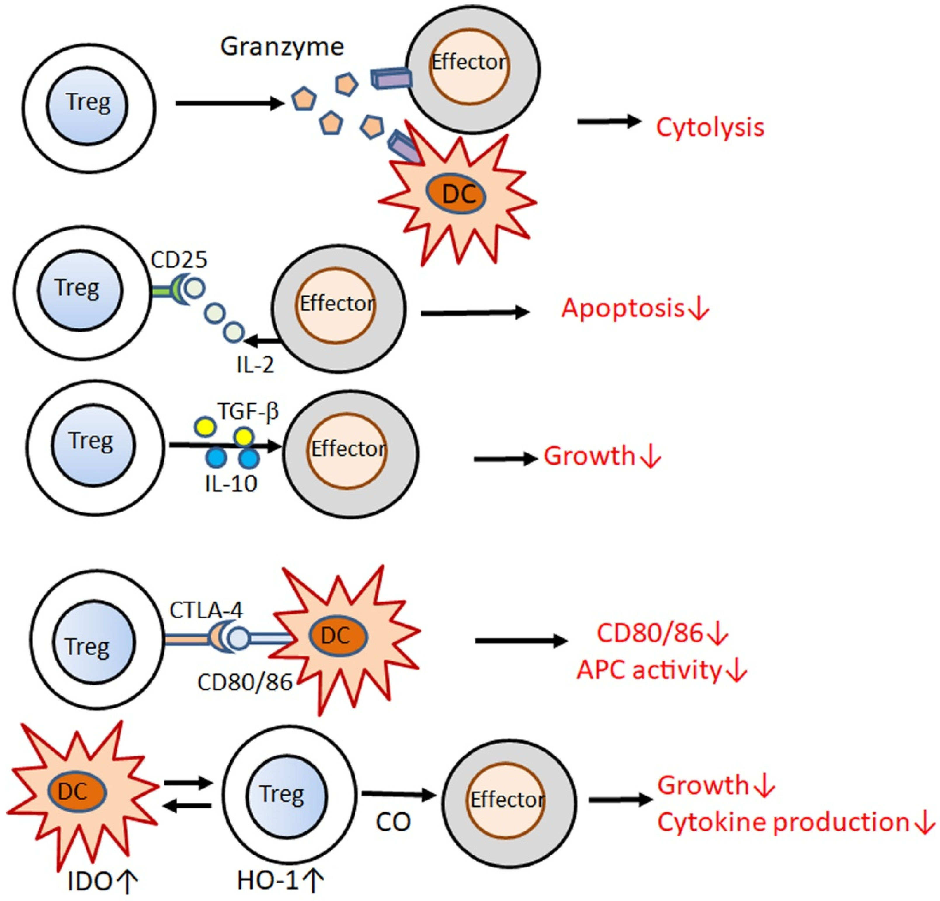 Jcm 10 03880 g002 550