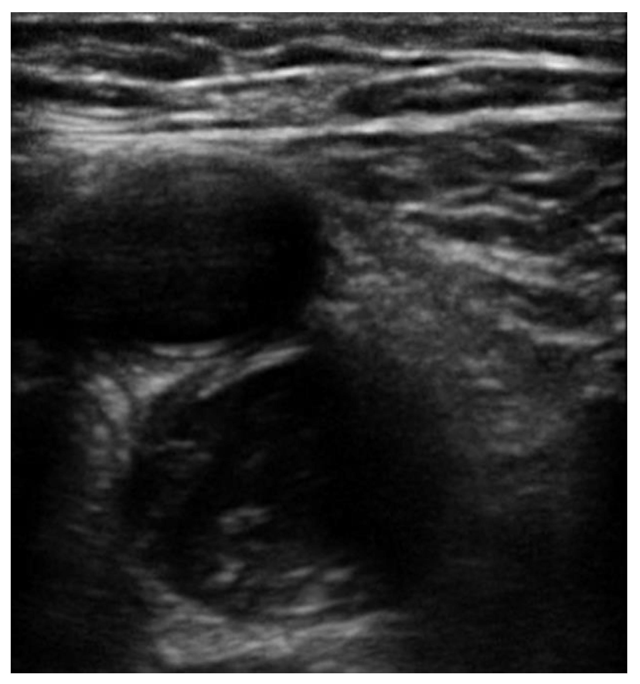 Jcm 10 03903 g005 Jcm 10 03903 g005