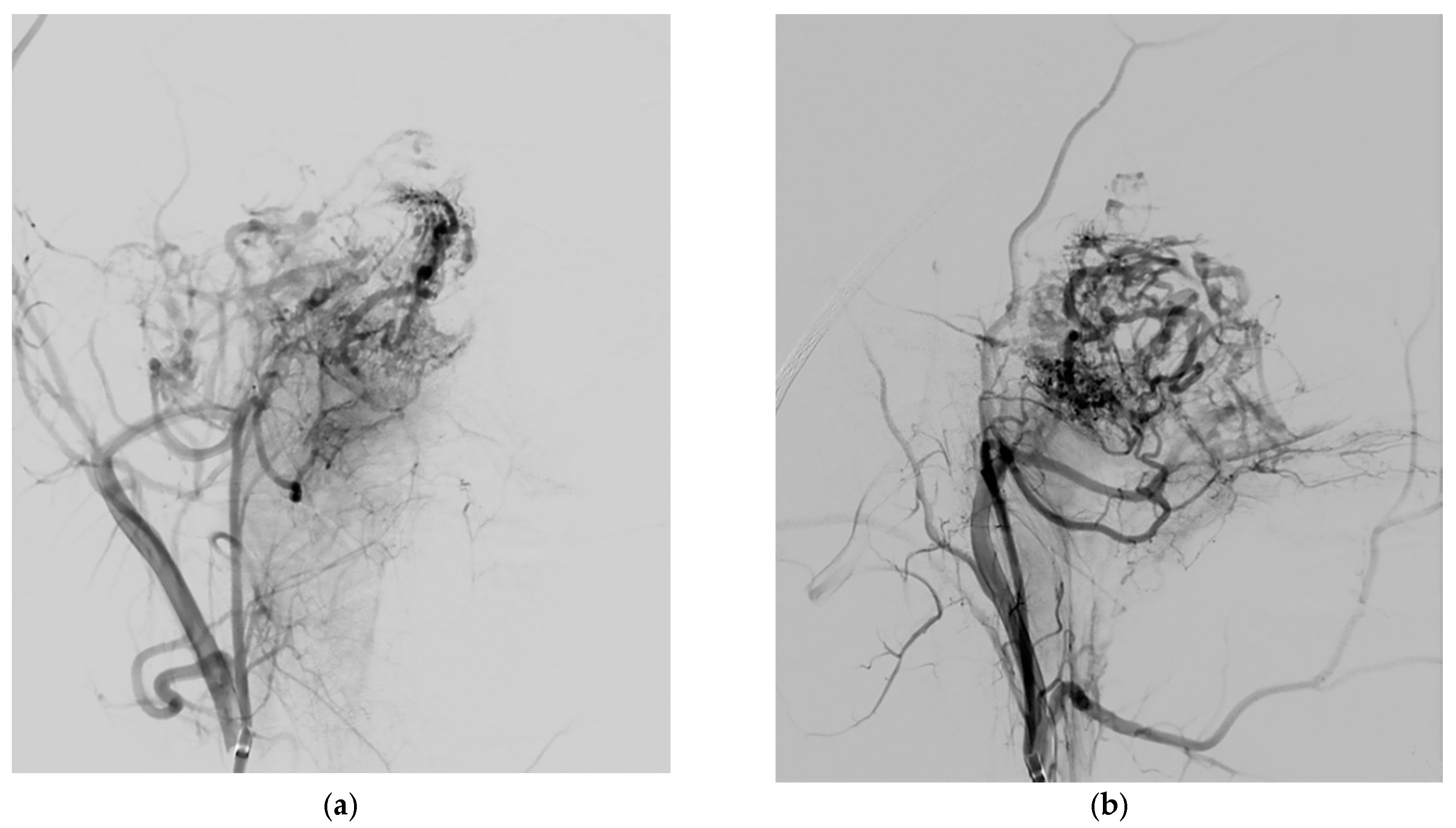 Jcm 10 03926 g002 Jcm 10 03926 g002