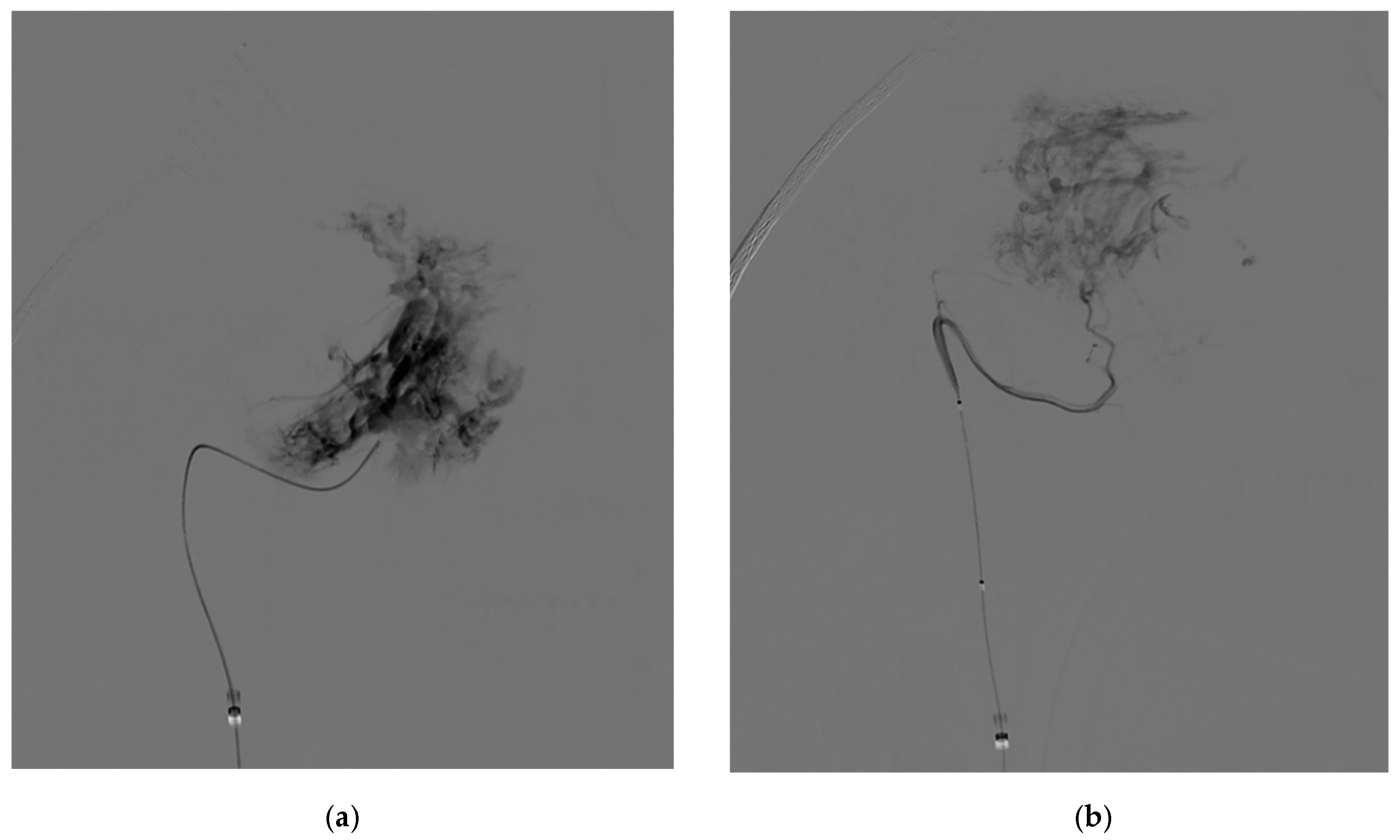 Jcm 10 03926 g003 Jcm 10 03926 g003