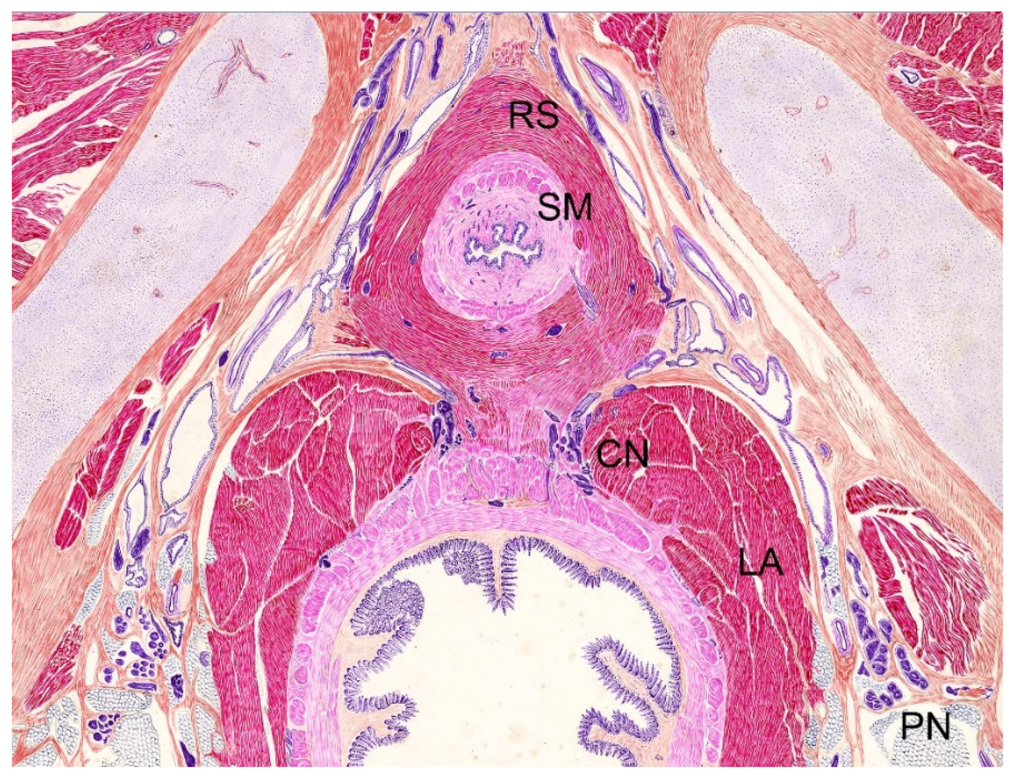 Jcm 10 03969 g002 550
