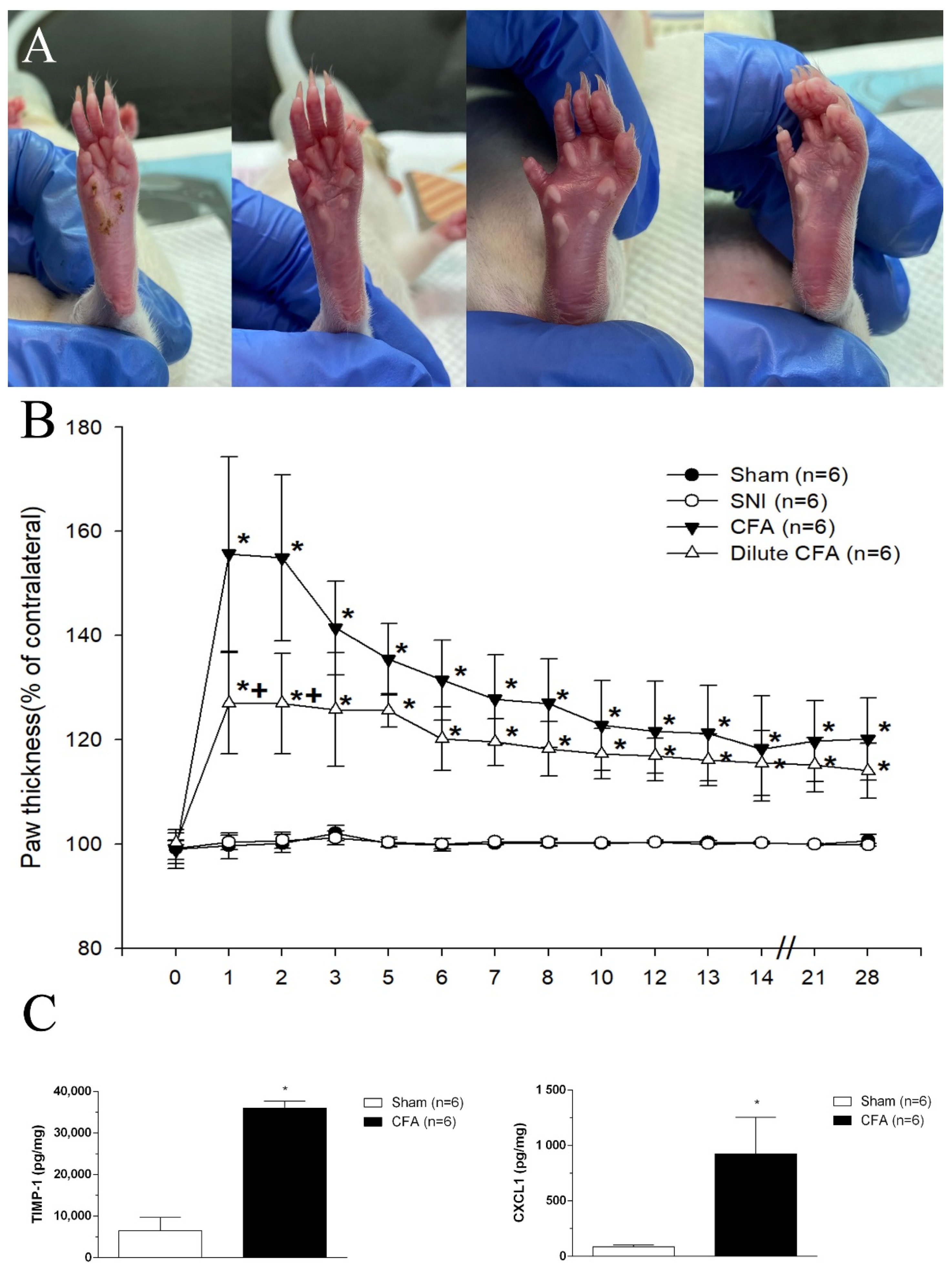 Jcm 10 04016 g002 550