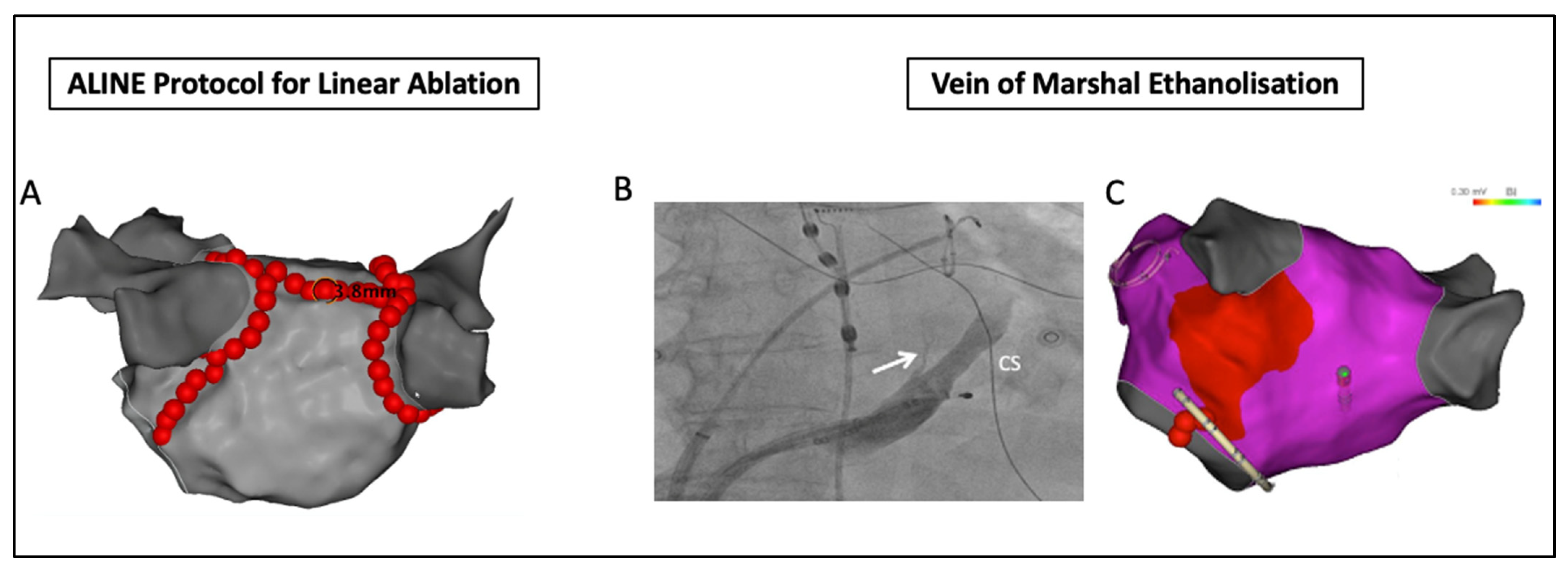 Jcm 10 04060 g002 Jcm 10 04060 g002