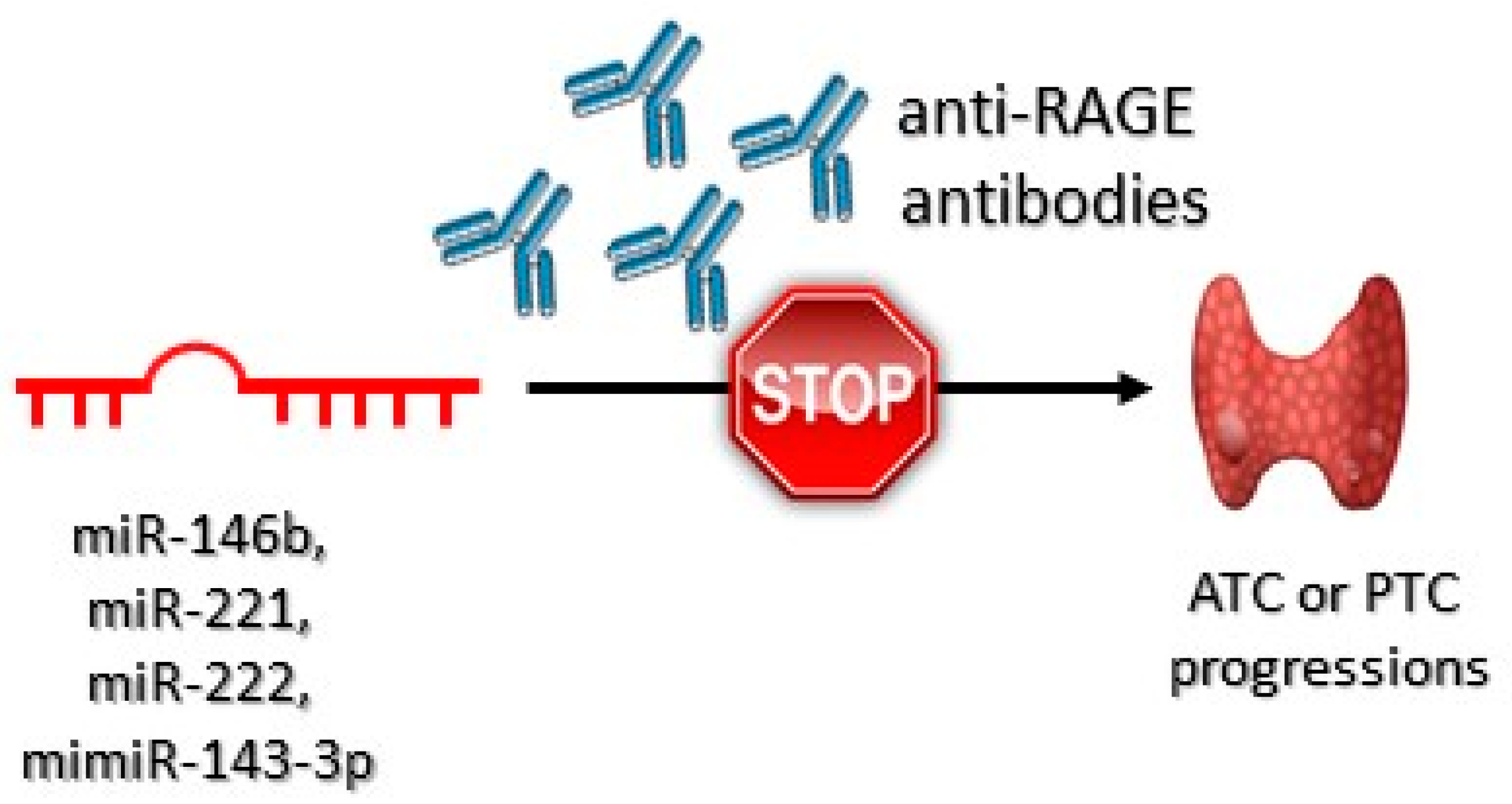 Jcm 10 04084 g005 Jcm 10 04084 g005