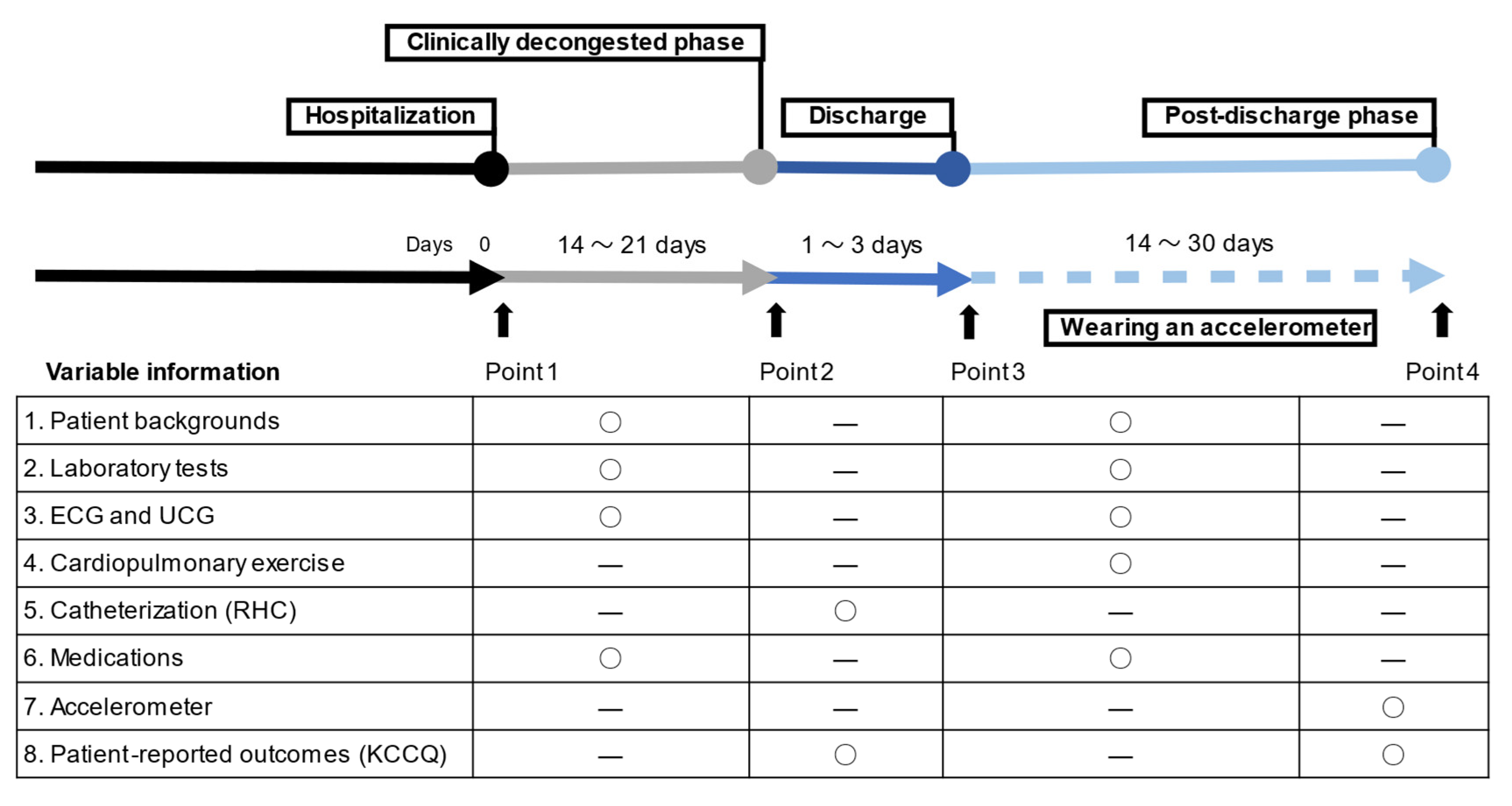 Assessment of Physical Activity Using Waist-Worn