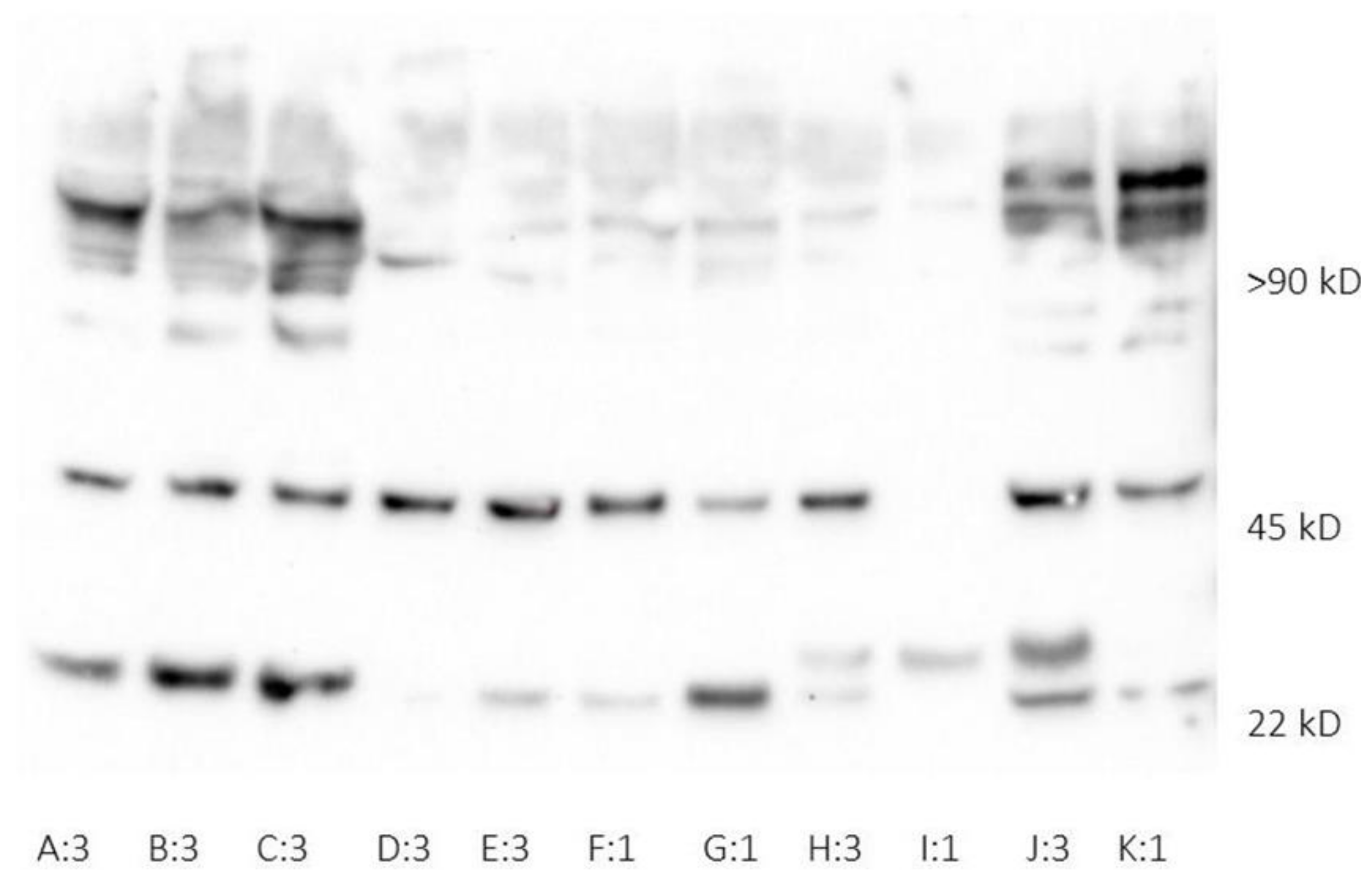 Jcm 10 04144 g001 550