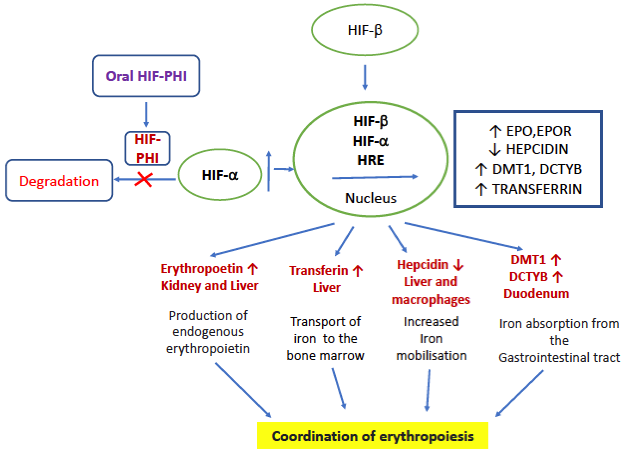 Jcm 10 04149 g001 Jcm 10 04149 g001