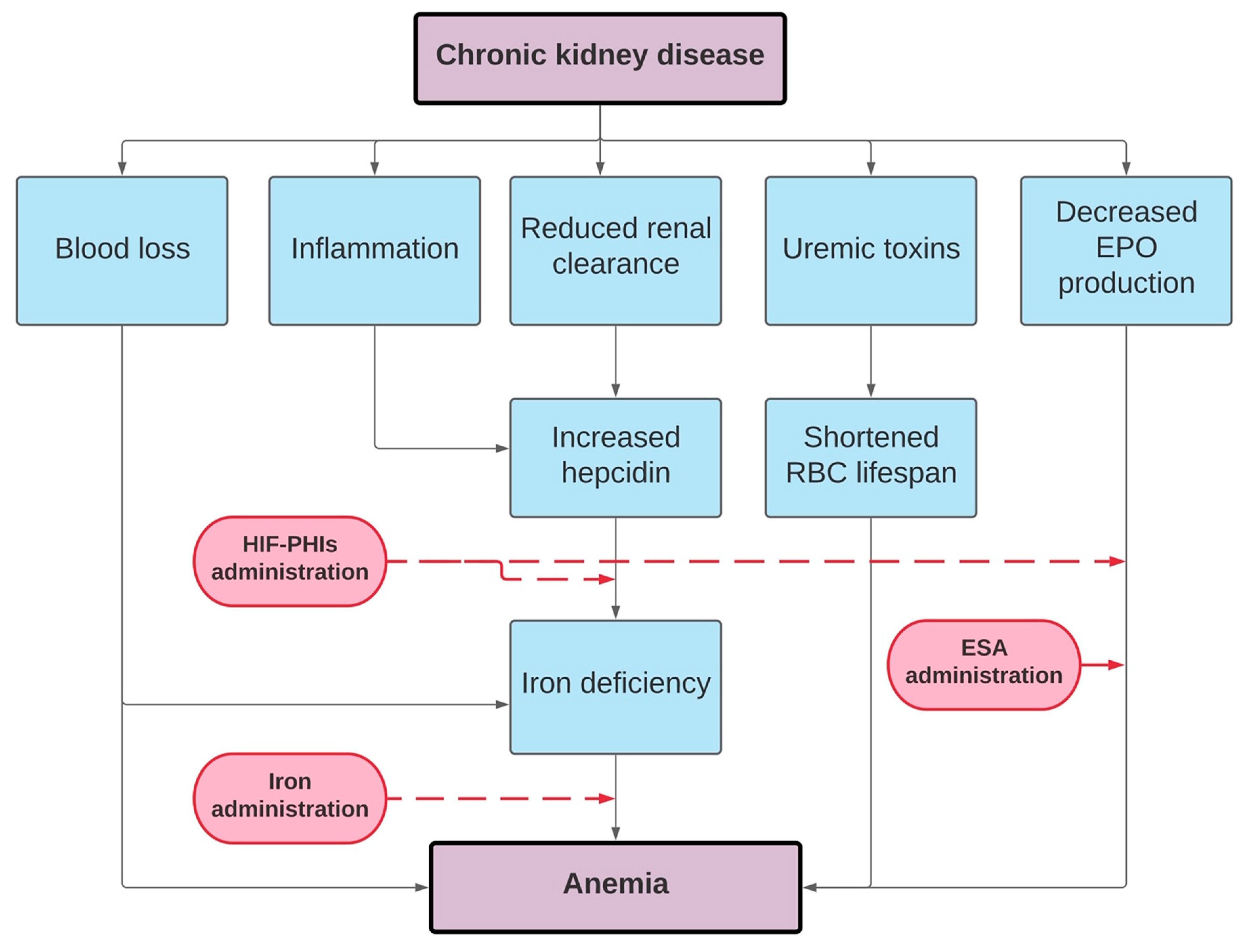 Jcm 10 04149 g002 Jcm 10 04149 g002
