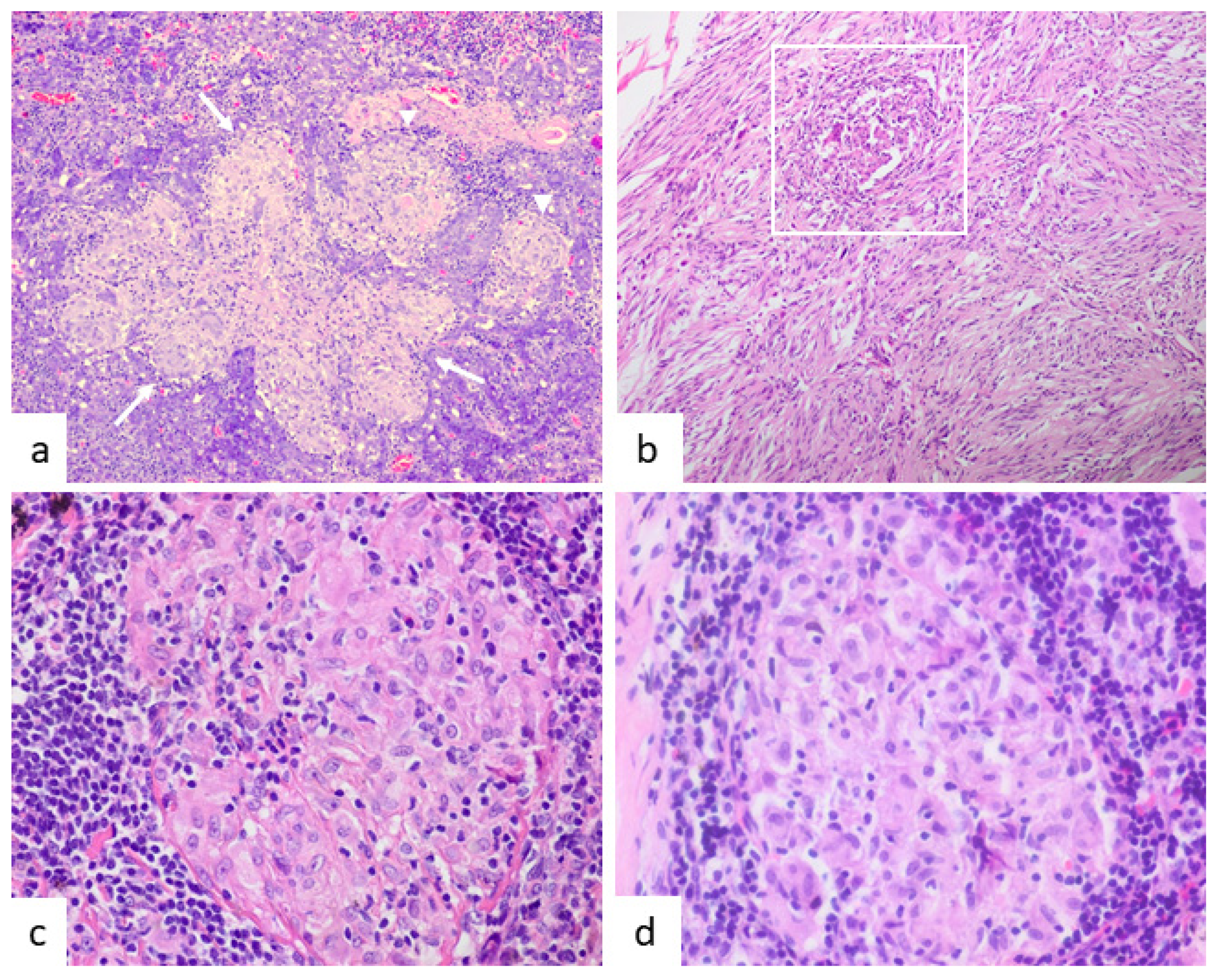 Jcm 10 04151 g005 550