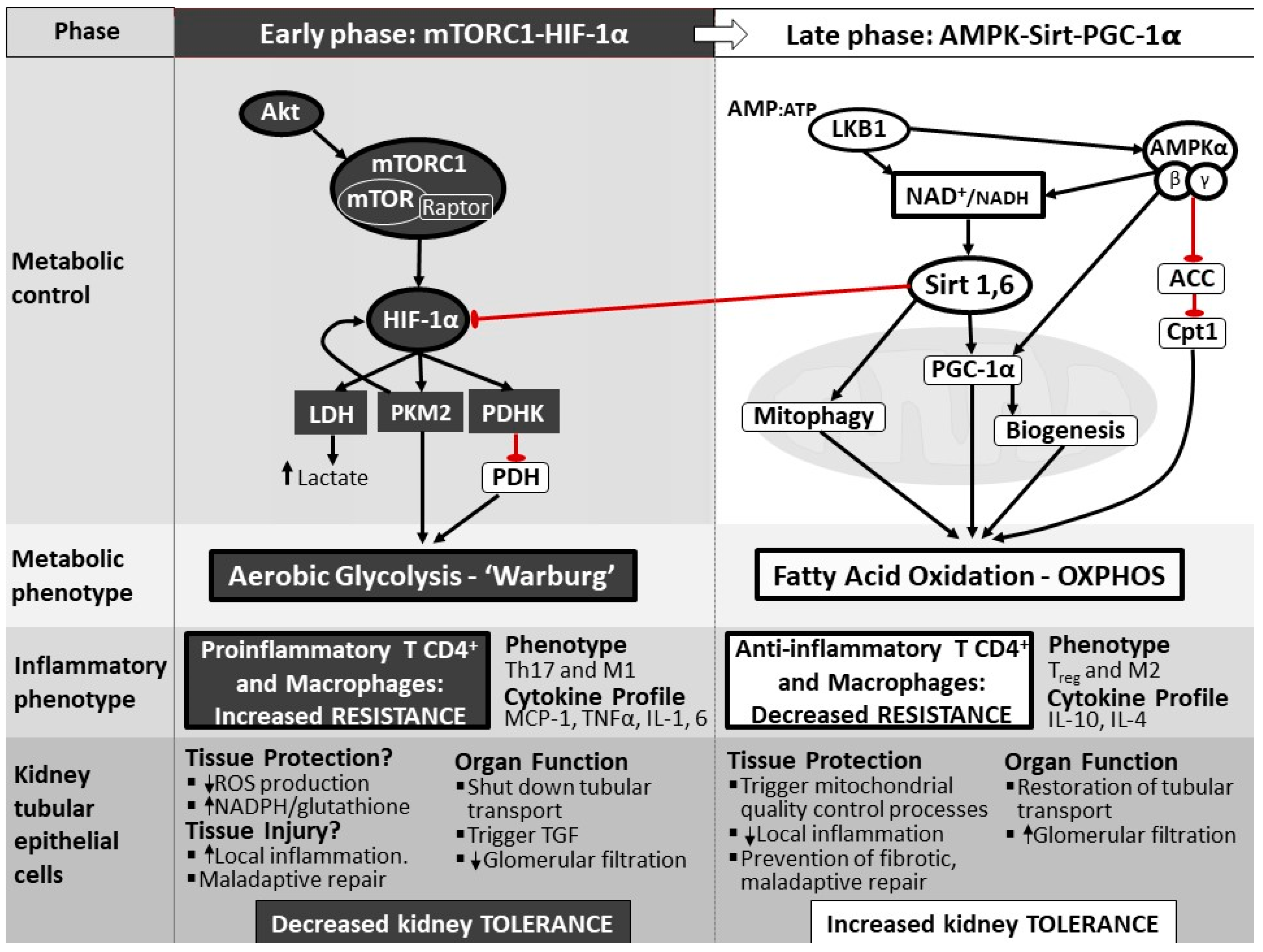 Jcm 10 04184 g002 Jcm 10 04184 g002