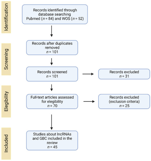 サブロー Realistic Nanoplastics Induced Pulmonary Damage via the