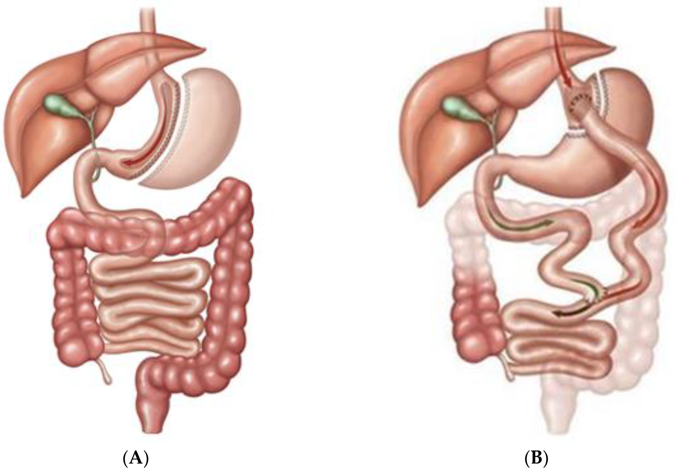 Jcm 10 04217 g001 Jcm 10 04217 g001
