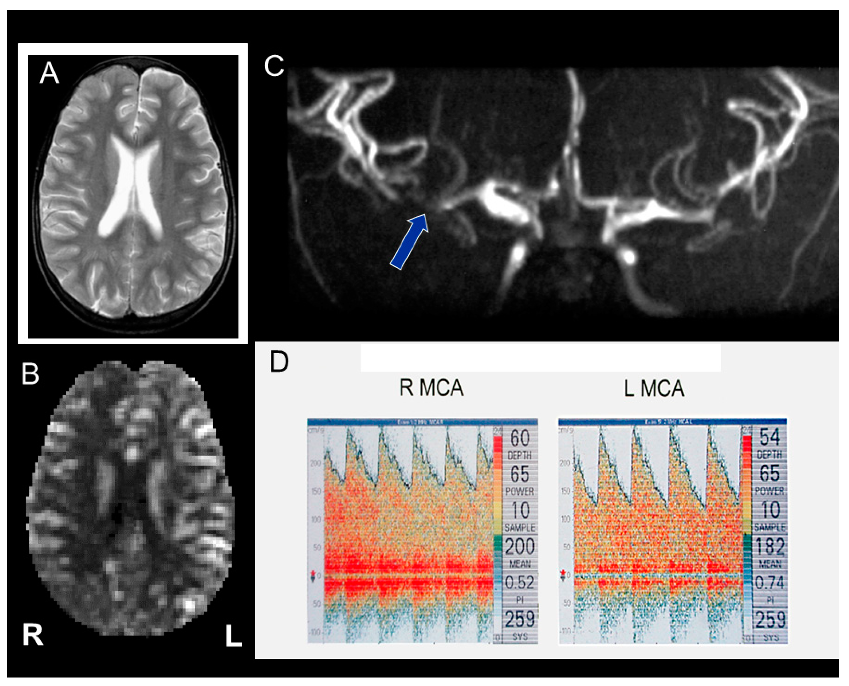 Jcm 10 04232 g002 Jcm 10 04232 g002