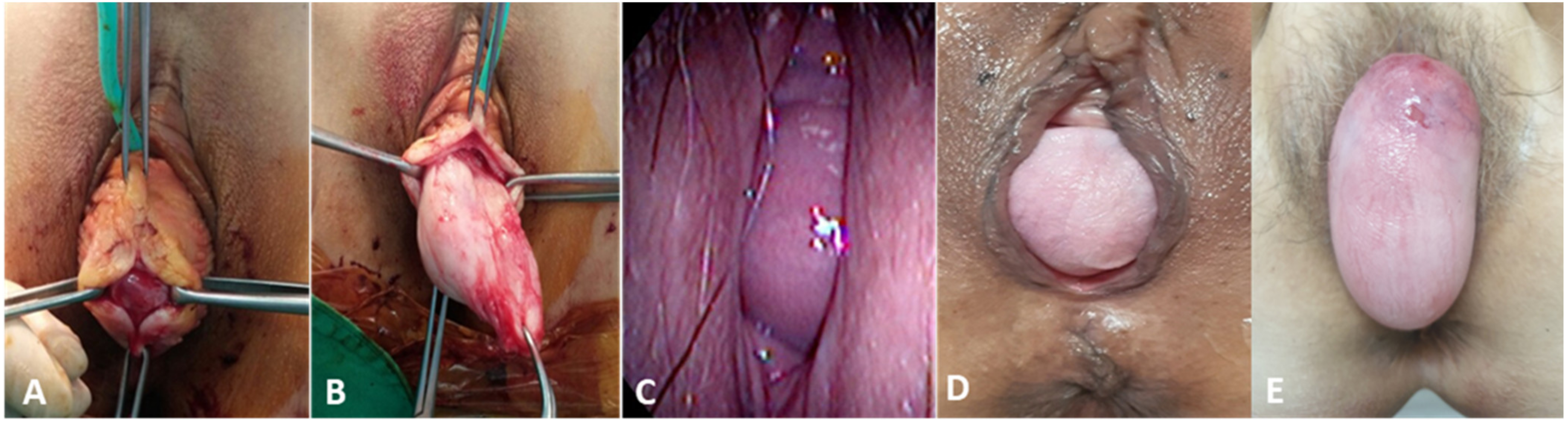 Jcm 10 04267 g001 550