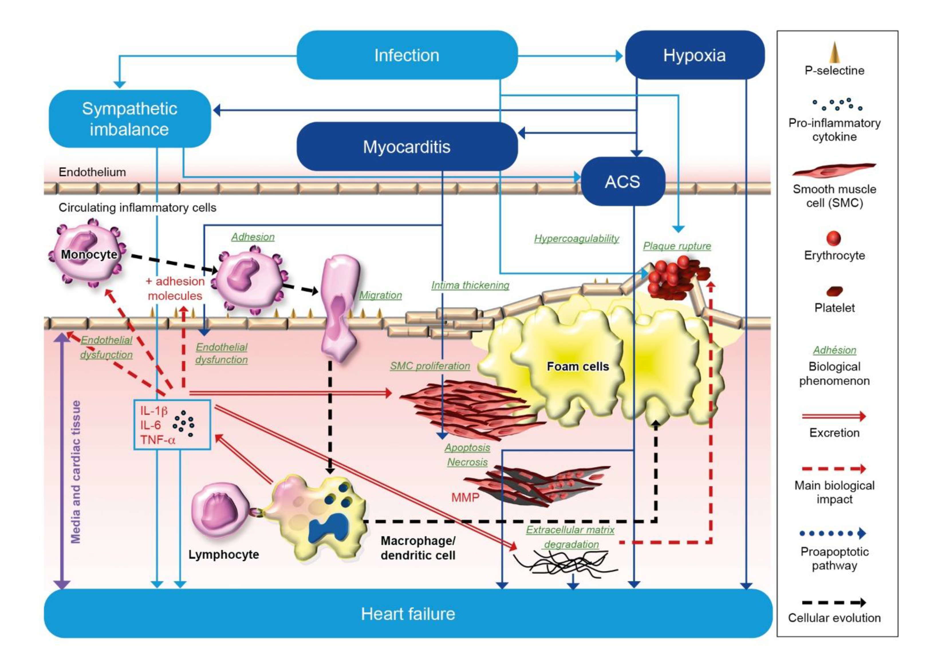 Jcm Free Full Text Vaccination For Respiratory Infections In Patients With Heart Failure Html Jcm Free Full Text Vaccination For Respiratory Infections In Patients With Heart Failure Html
