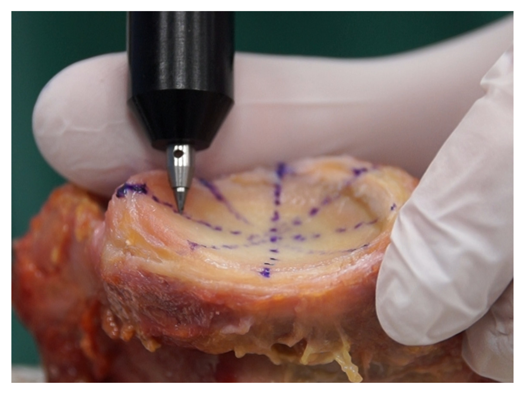 Jcm 10 04316 g001 550