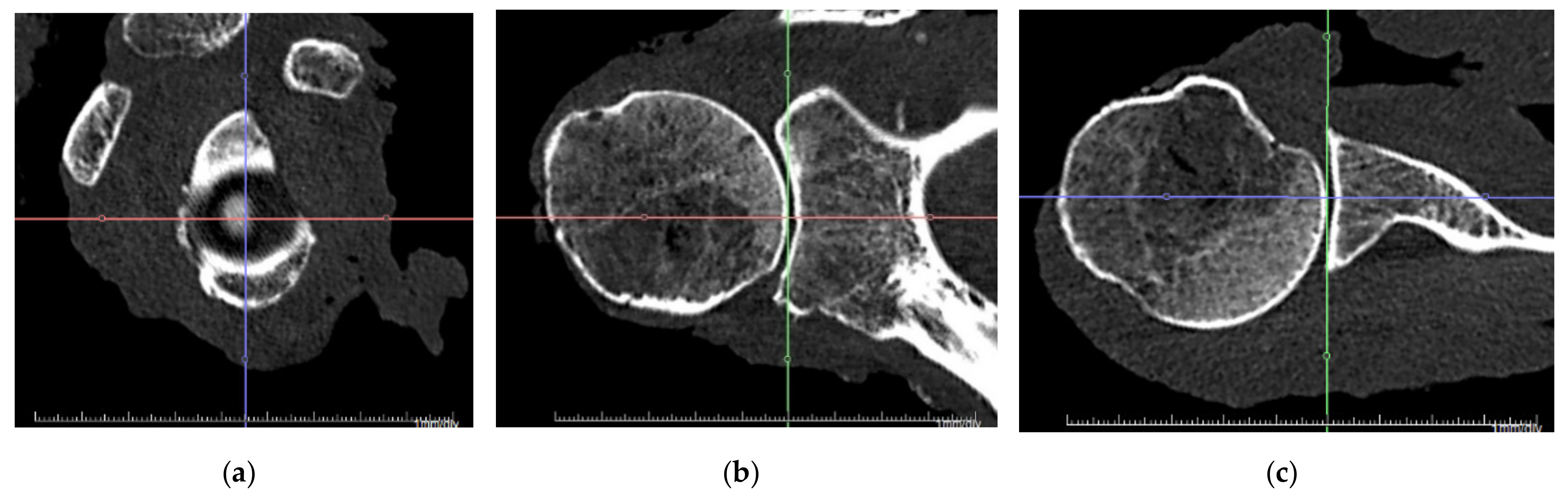 Jcm 10 04316 g002 550