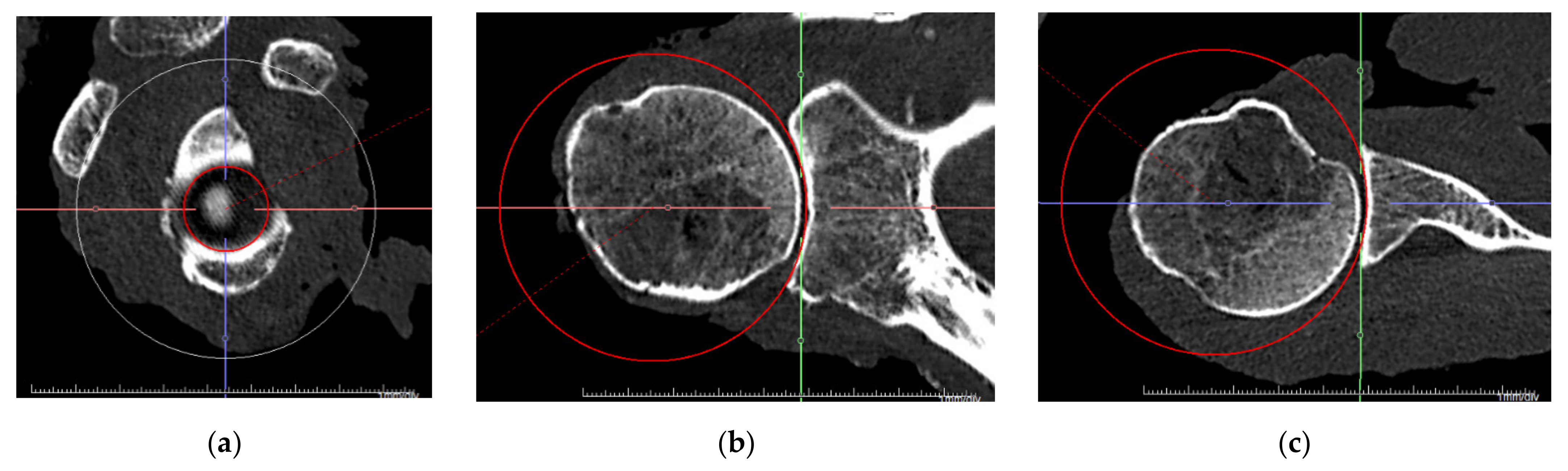 Jcm 10 04316 g003 550
