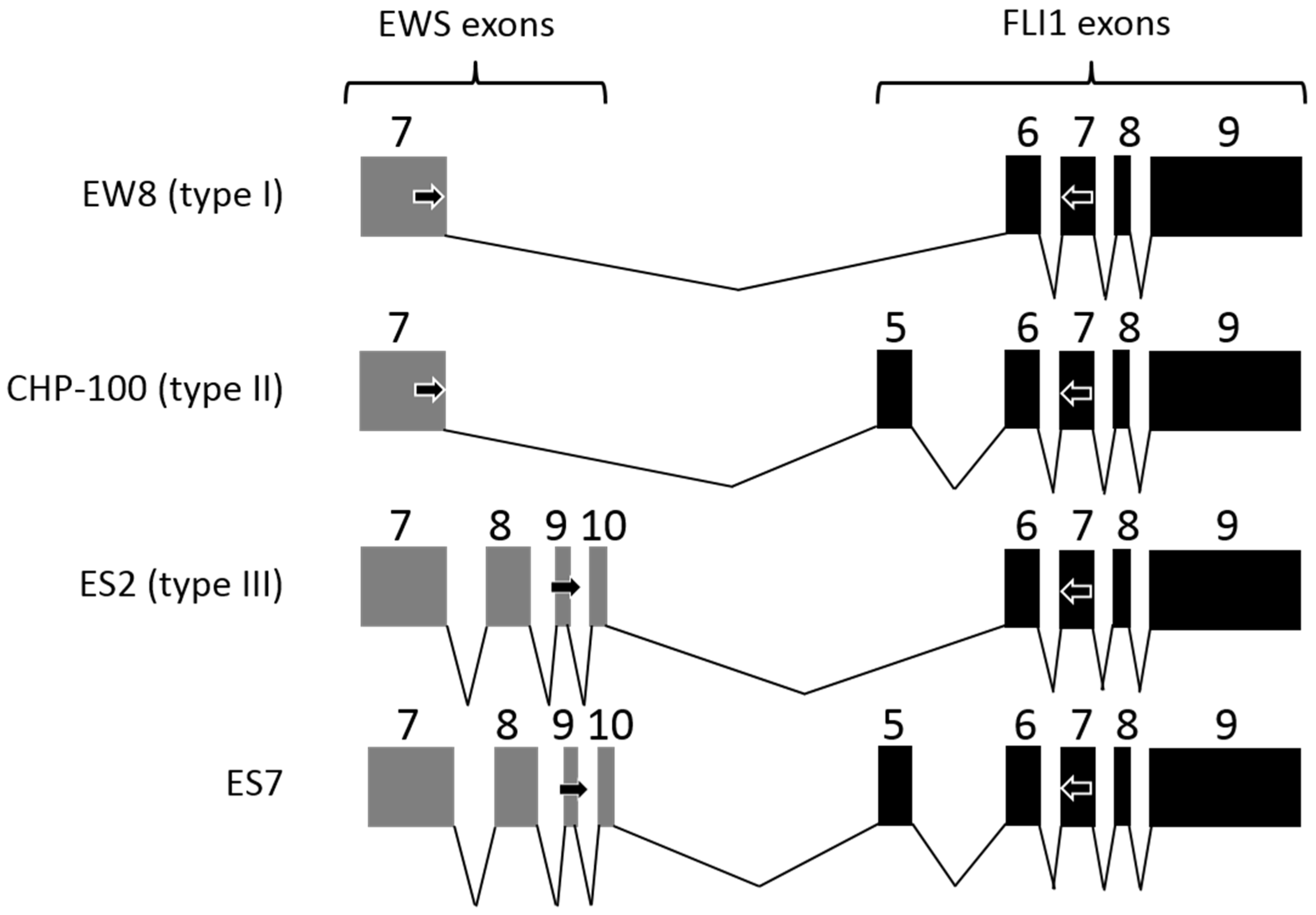 Jcm 10 04362 g001 Jcm 10 04362 g001