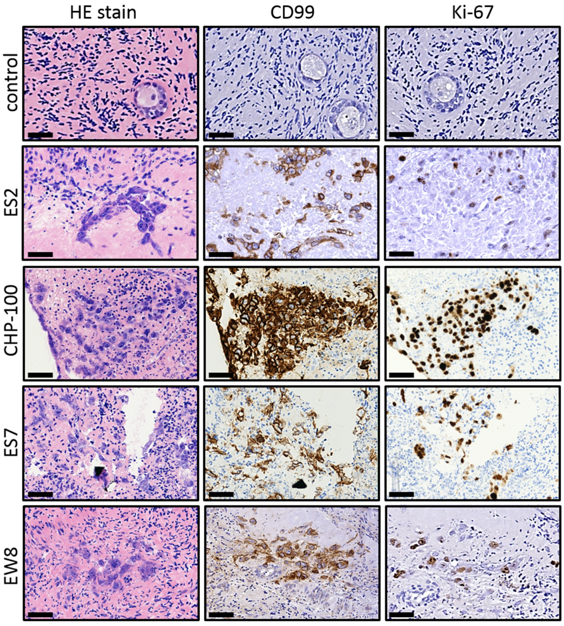 Jcm 10 04362 g002 Jcm 10 04362 g002