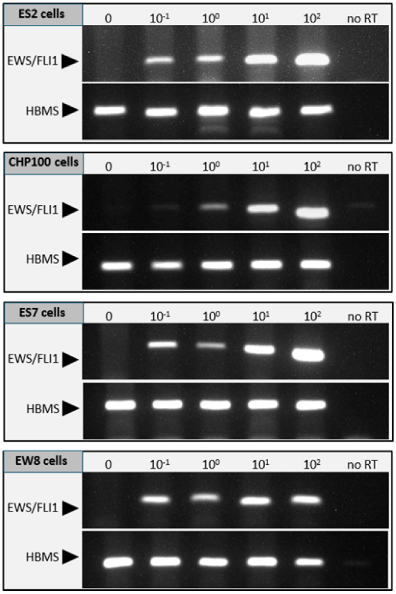 Jcm 10 04362 g004 Jcm 10 04362 g004
