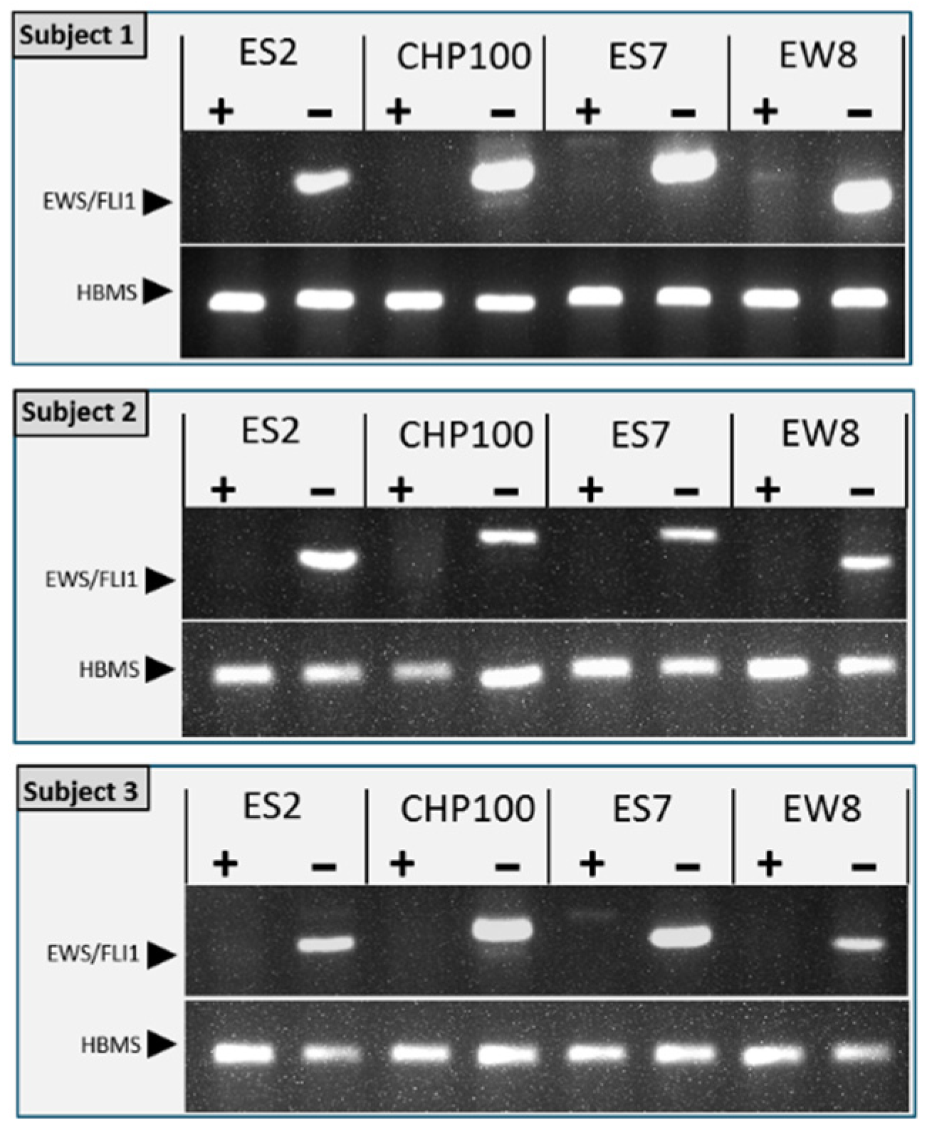 Jcm 10 04362 g005 Jcm 10 04362 g005