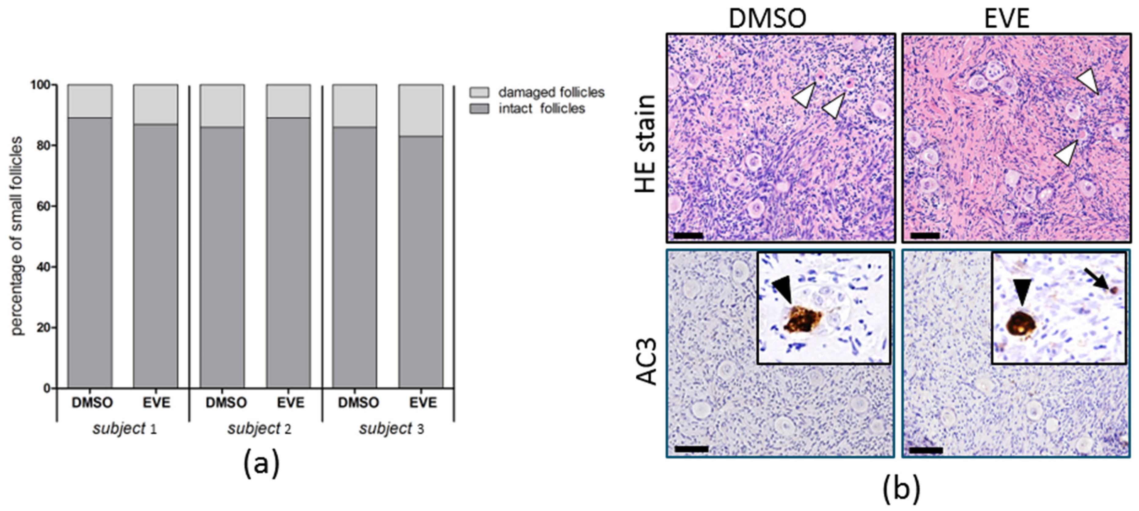 Jcm 10 04362 g006 Jcm 10 04362 g006