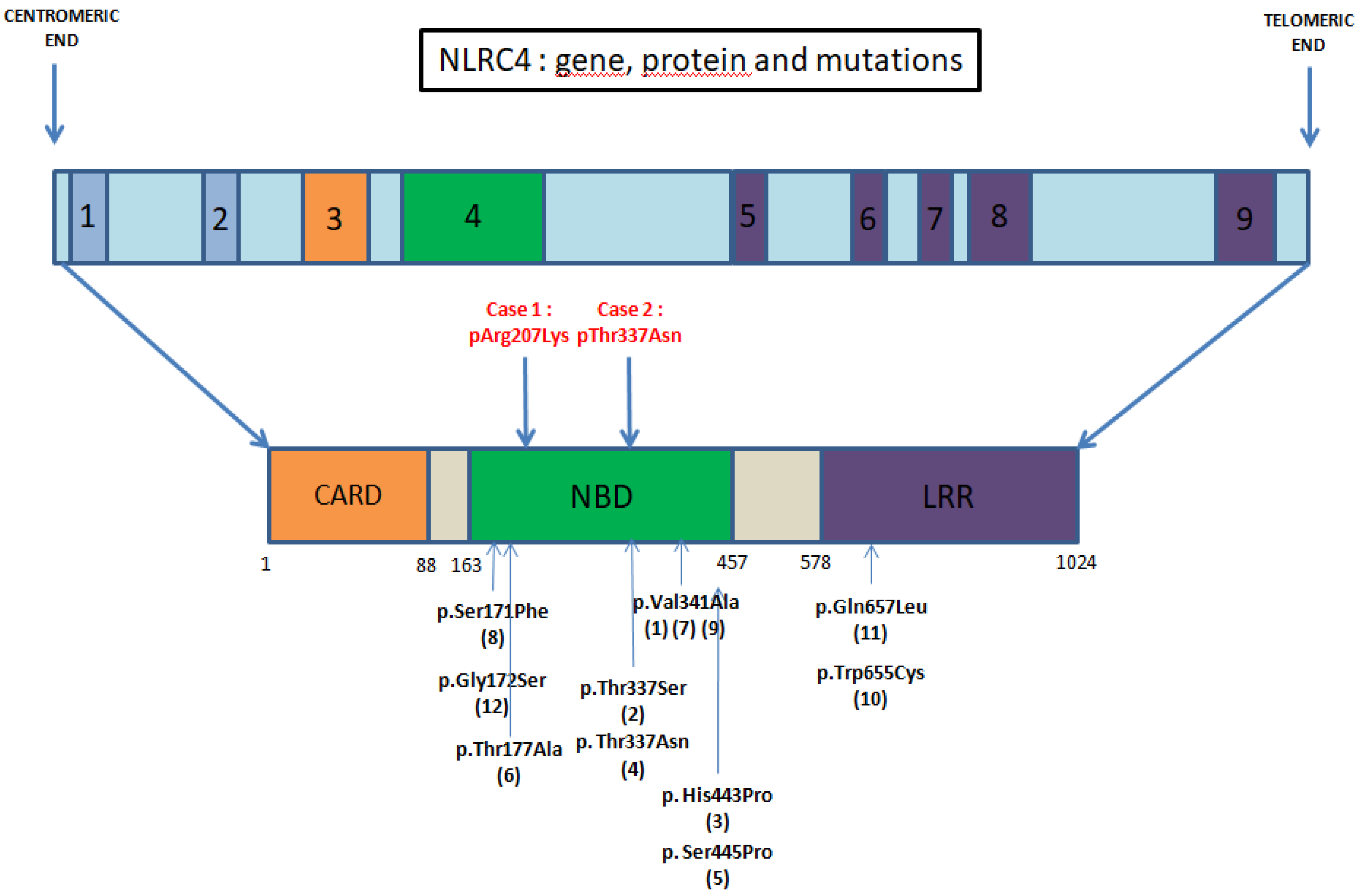 Jcm 10 04369 g003 550