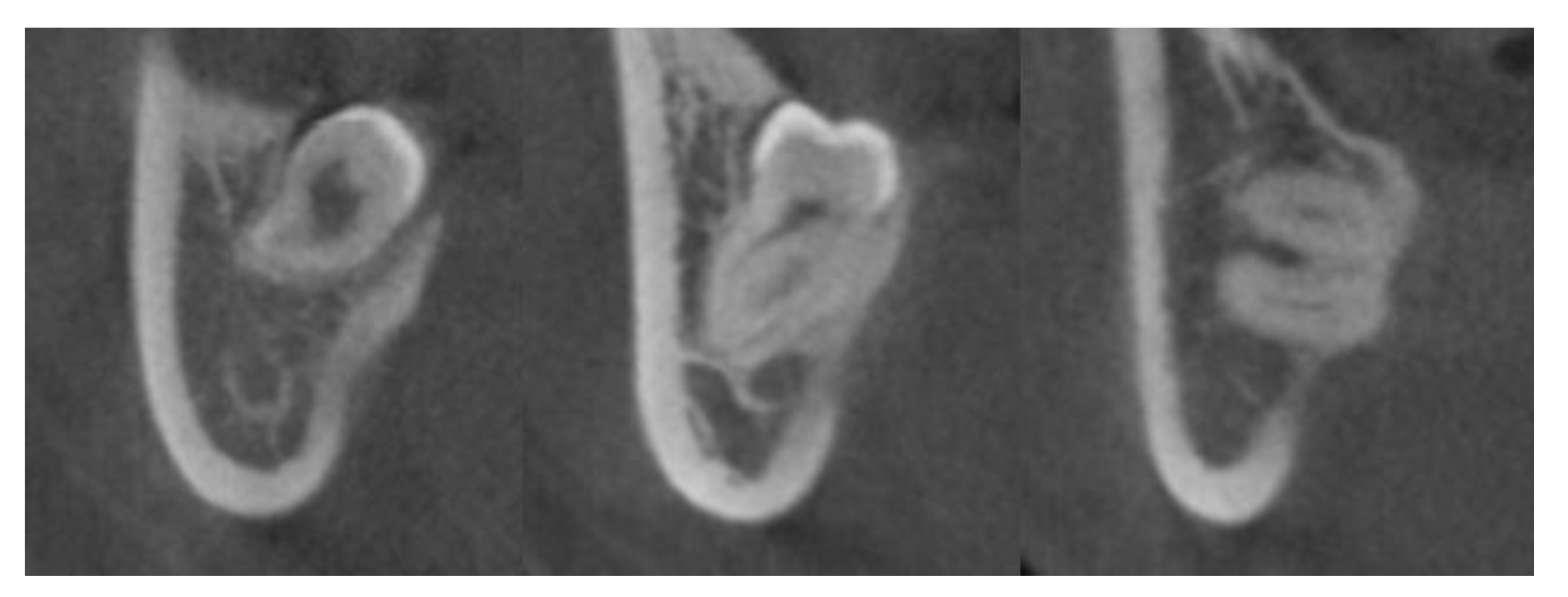 Jcm 10 04379 g003 550