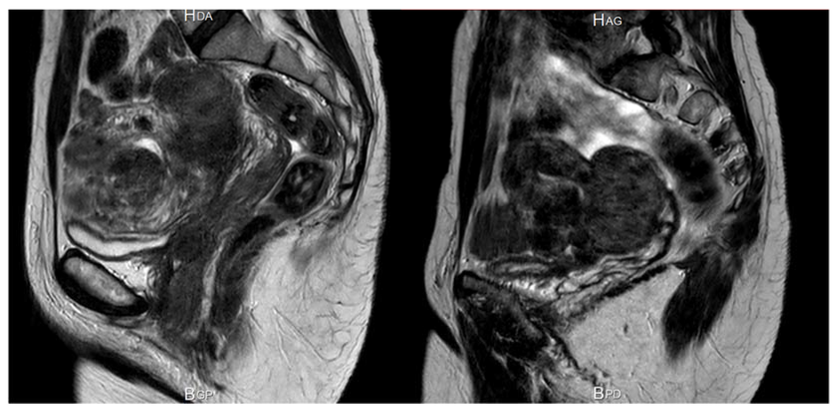 Jcm 10 04389 g007 550