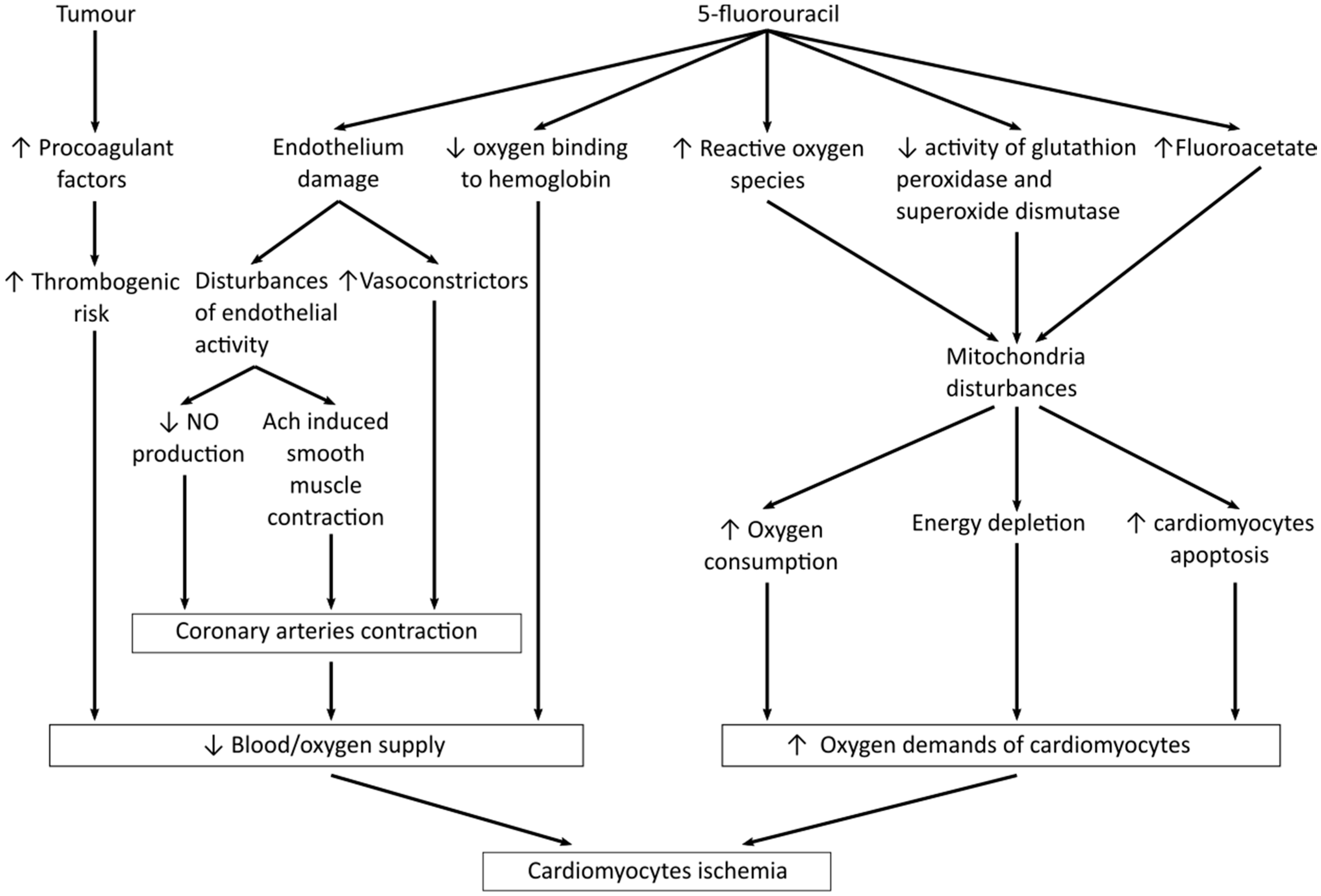 Jcm 10 04426 g006 Jcm 10 04426 g006