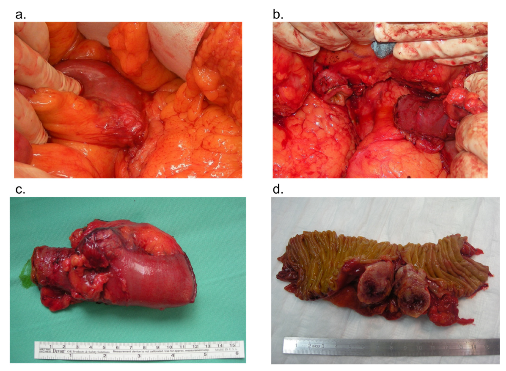 Jcm 10 04459 g001 Jcm 10 04459 g001