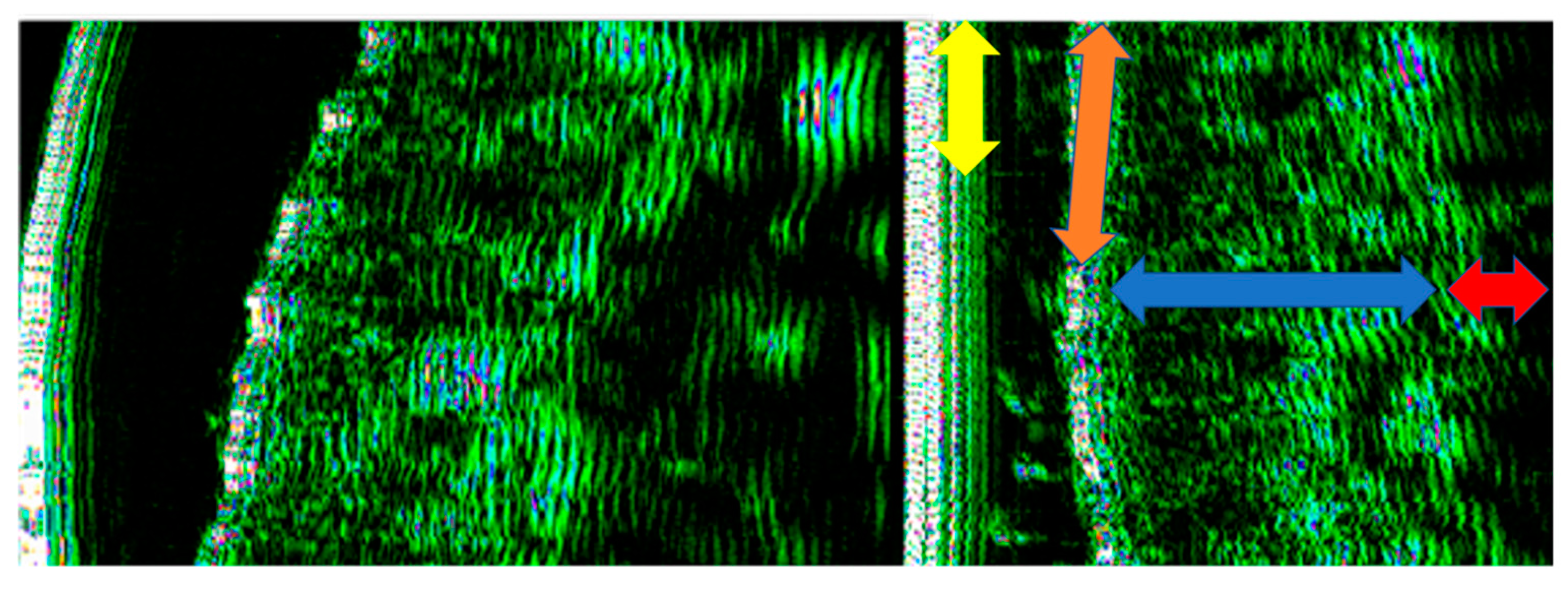 Jcm 10 04461 g002 Jcm 10 04461 g002