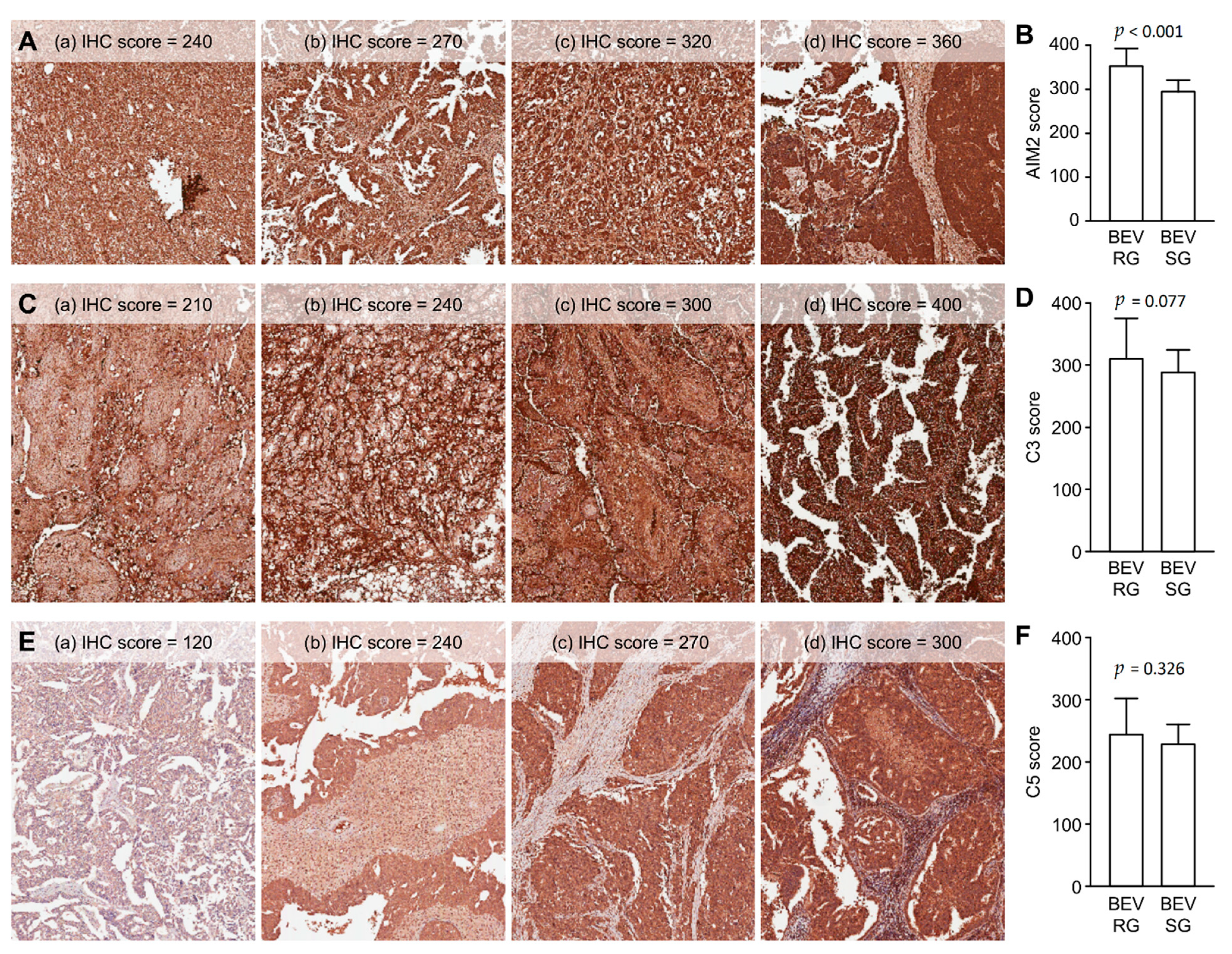 Jcm 10 04529 g002 550