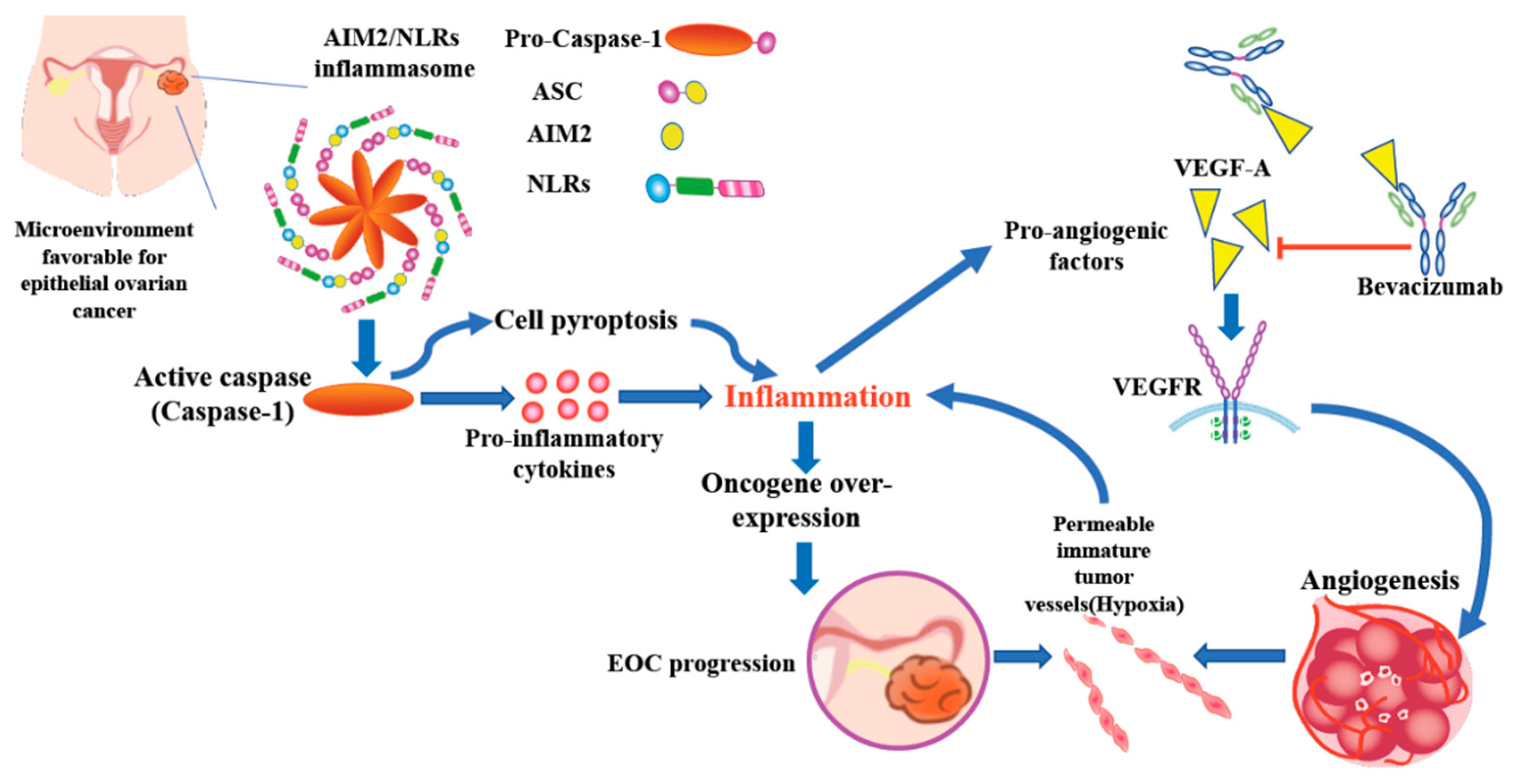 Jcm 10 04529 g005 550