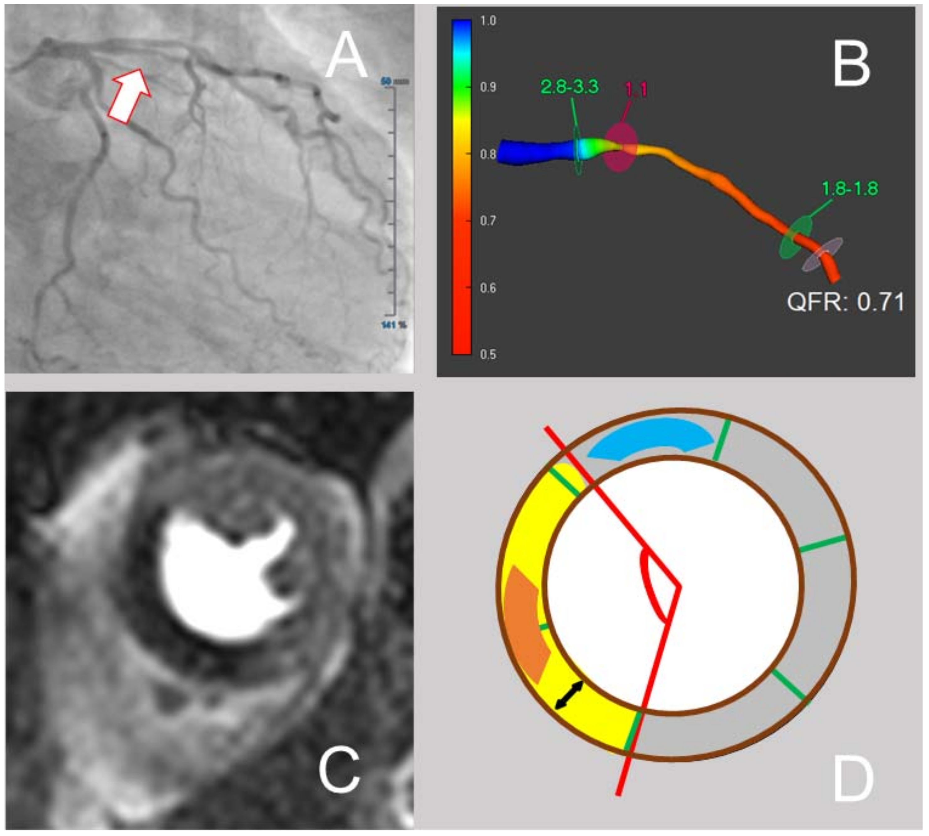 Jcm 10 04535 g001 Jcm 10 04535 g001