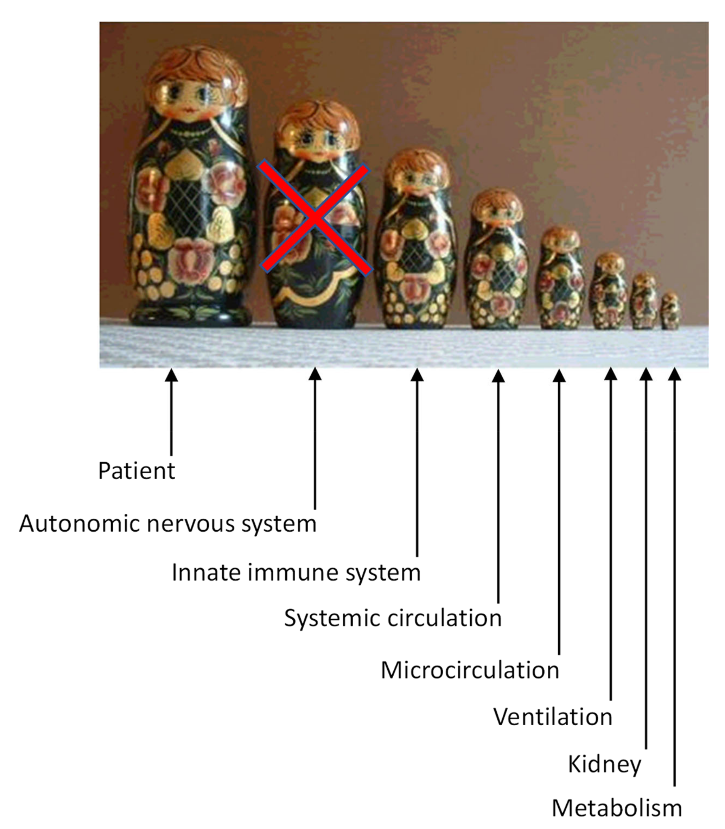 Jcm 10 04569 g001 Jcm 10 04569 g001
