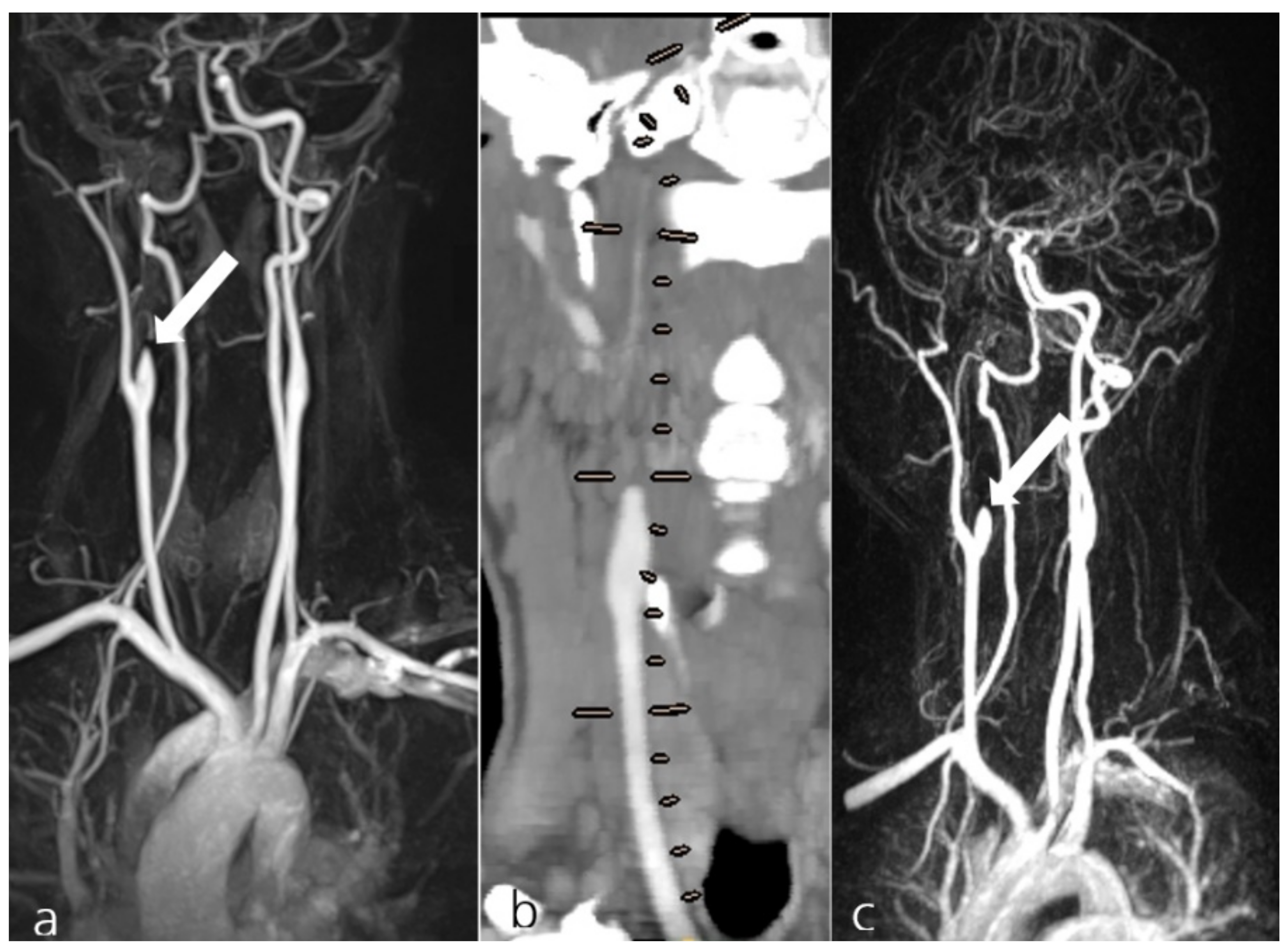 Jcm 10 04580 g001 550