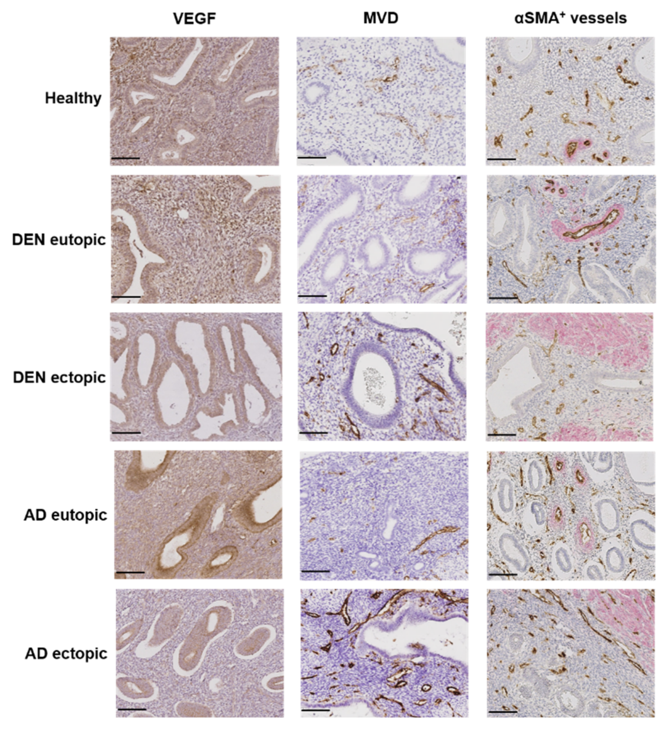 Jcm 10 04585 g003 550