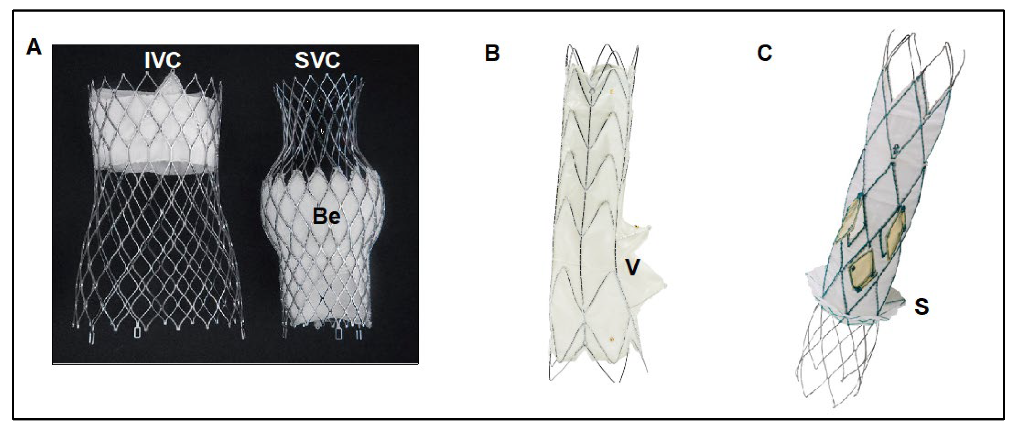 Jcm 10 04601 g004 Jcm 10 04601 g004