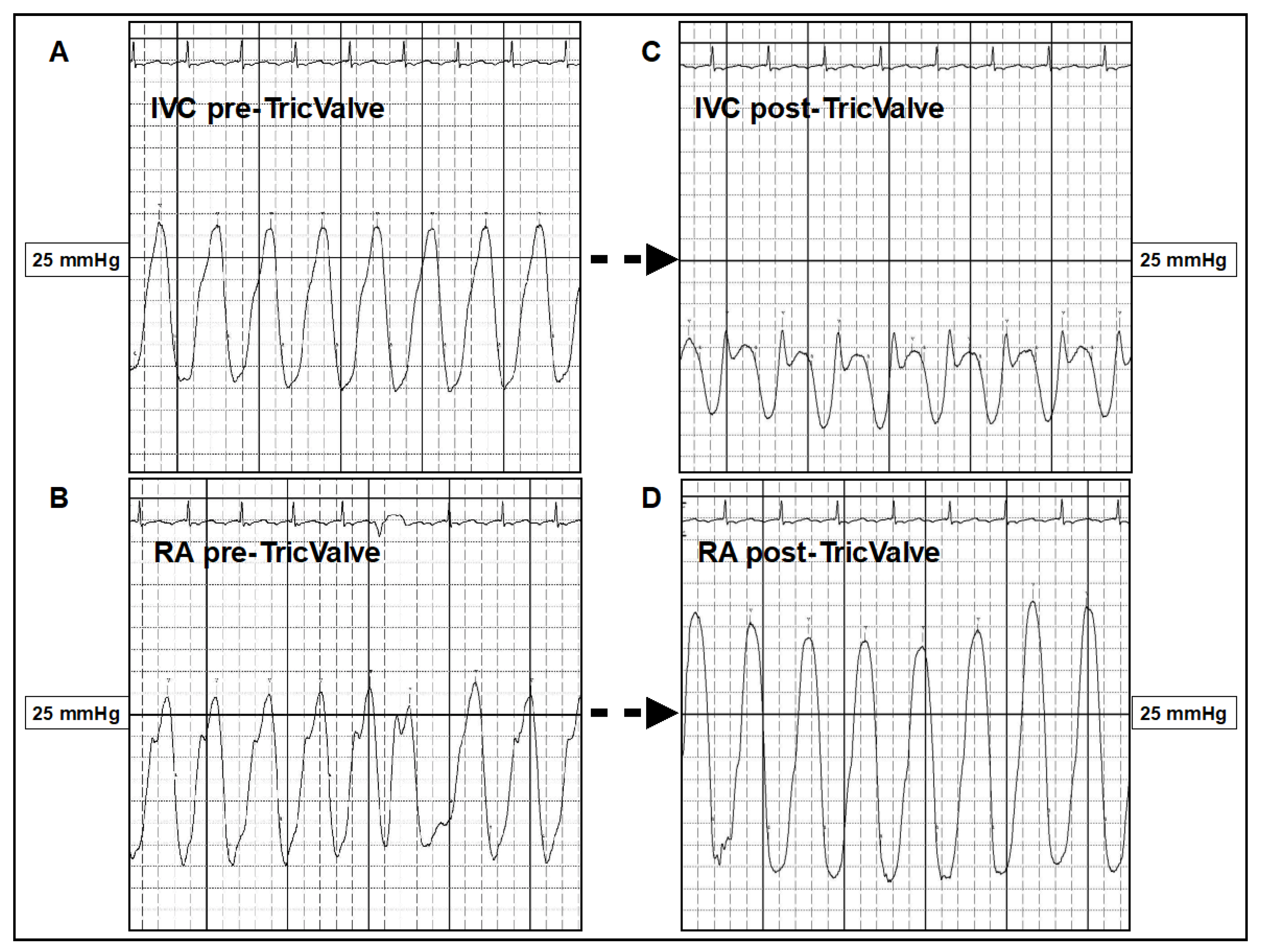 Jcm 10 04601 g006 Jcm 10 04601 g006