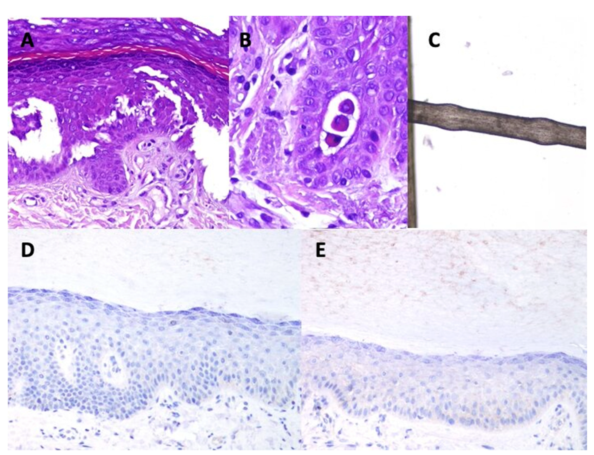 Jcm 10 04608 g001 550